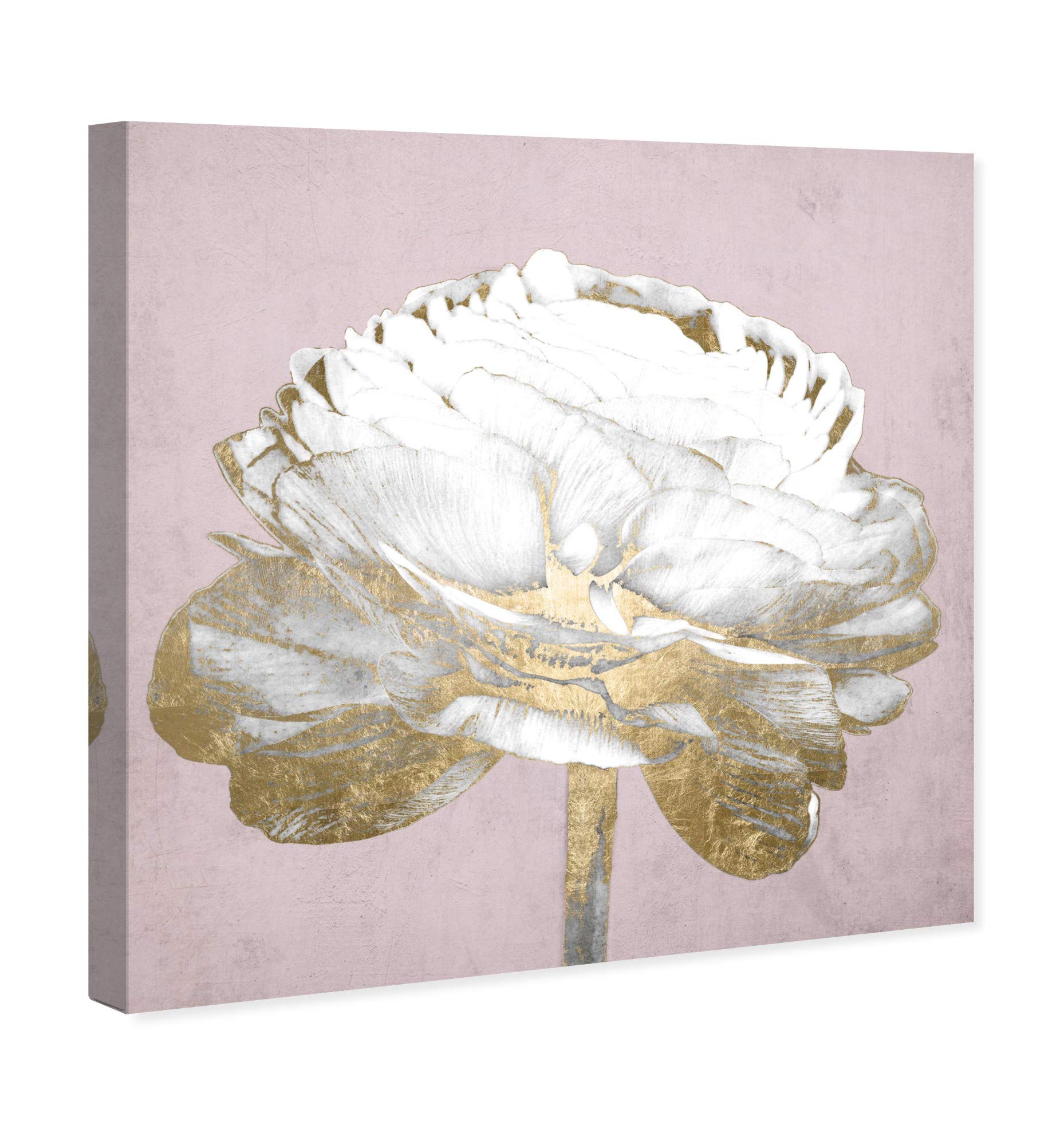 Amazon.co.jp: The Oliver Gal Artist Co. Oliver Gal 'Blush Gold