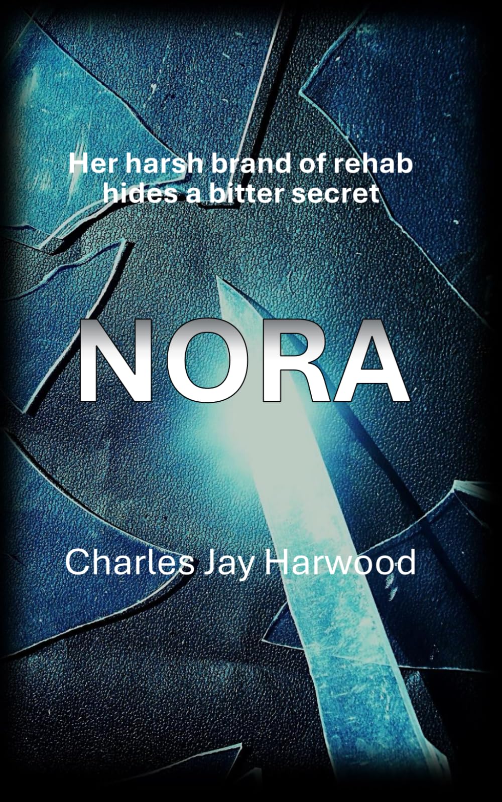 Nora: A Suspense Thriller with a Bitter Secret