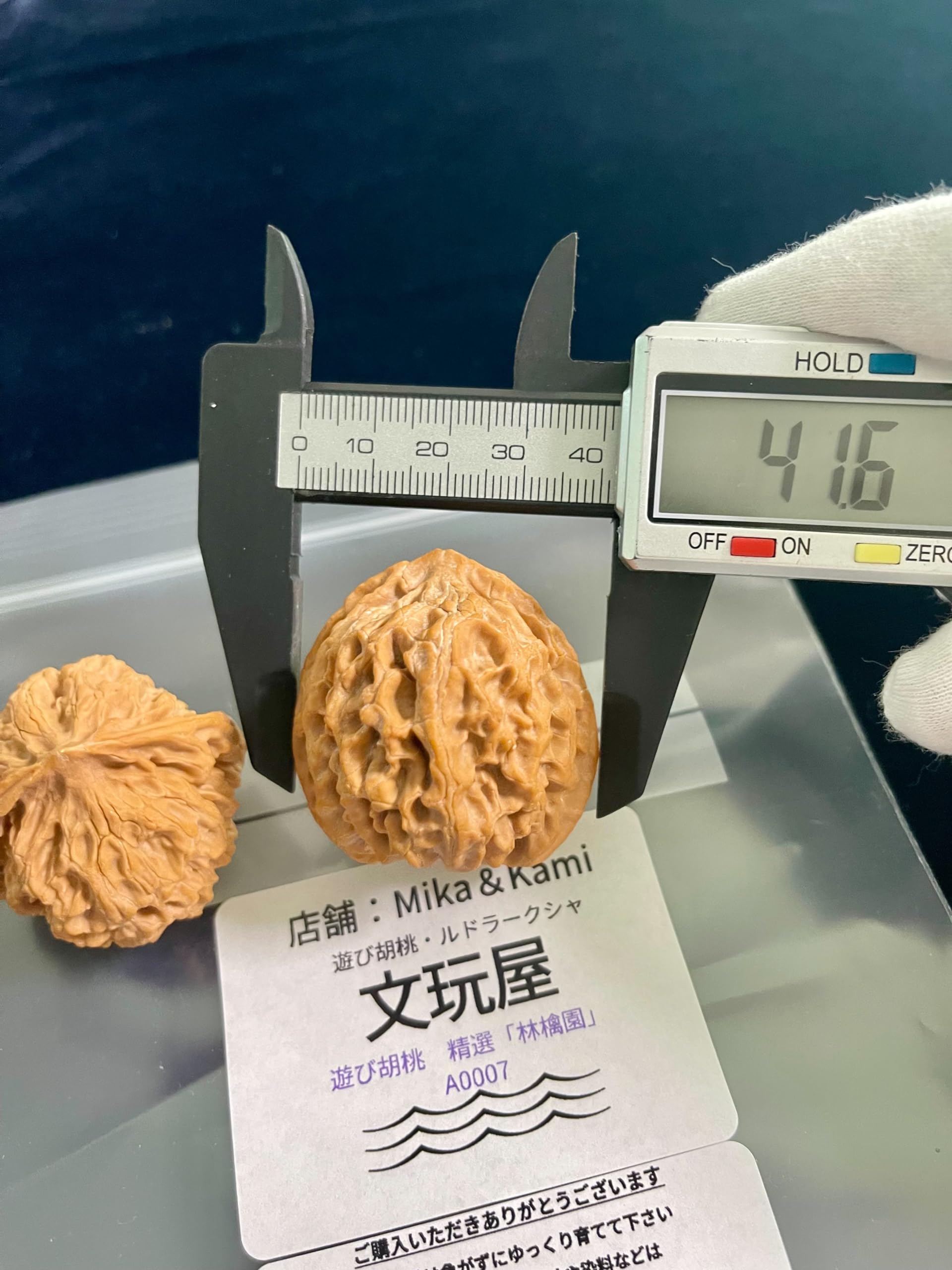 Amazon | 文玩屋 遊び胡桃 精選「林檎園」A0007「手で遊び育てる楽しみ