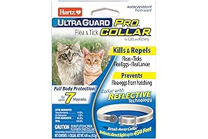 Hartz UltraGuard Pro Flea & Tick Collar: Essential Protection for Your Feline Friends