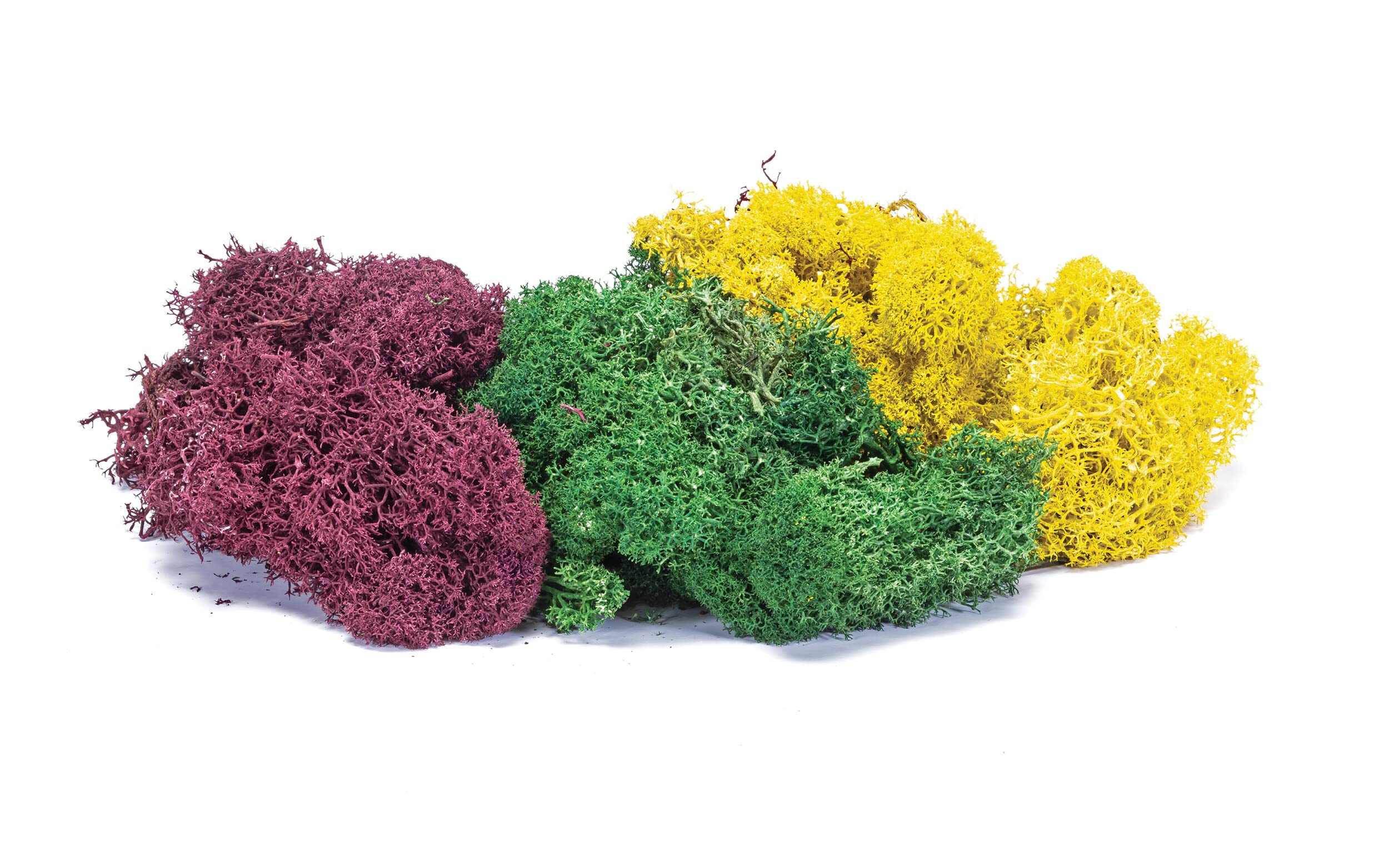 Hornby Lichen - Large Autumn Mix - R7197