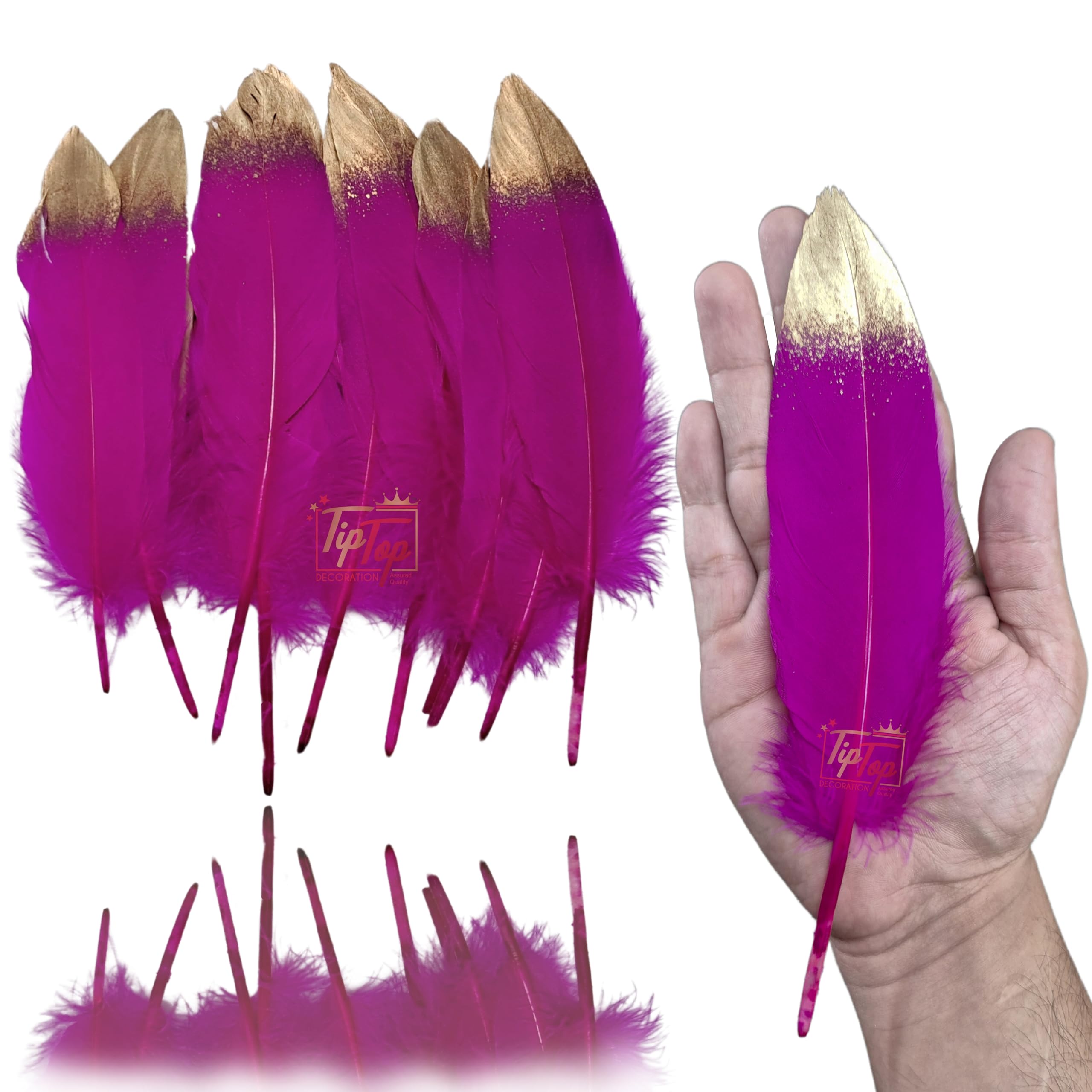 Premium Gold Dipped Medium Goose Feathers Quills (10 Pieces) (7-8 inch) (Dark Pink)-image-12