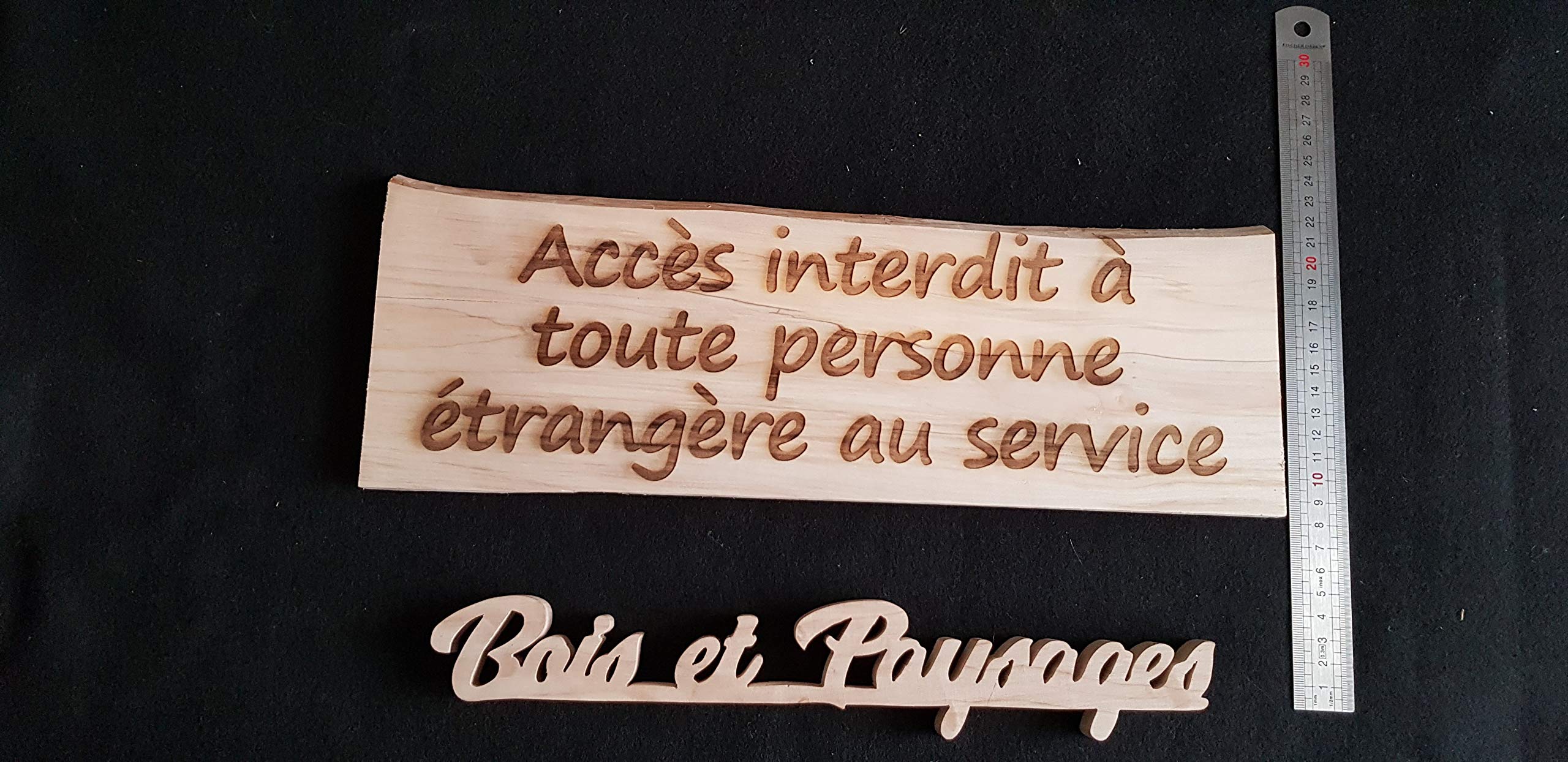 Plaque en bois gravée personnalisable - inscription au choix (citation, information, texte) - support environ 12cm x 35cm (variable selon texte).