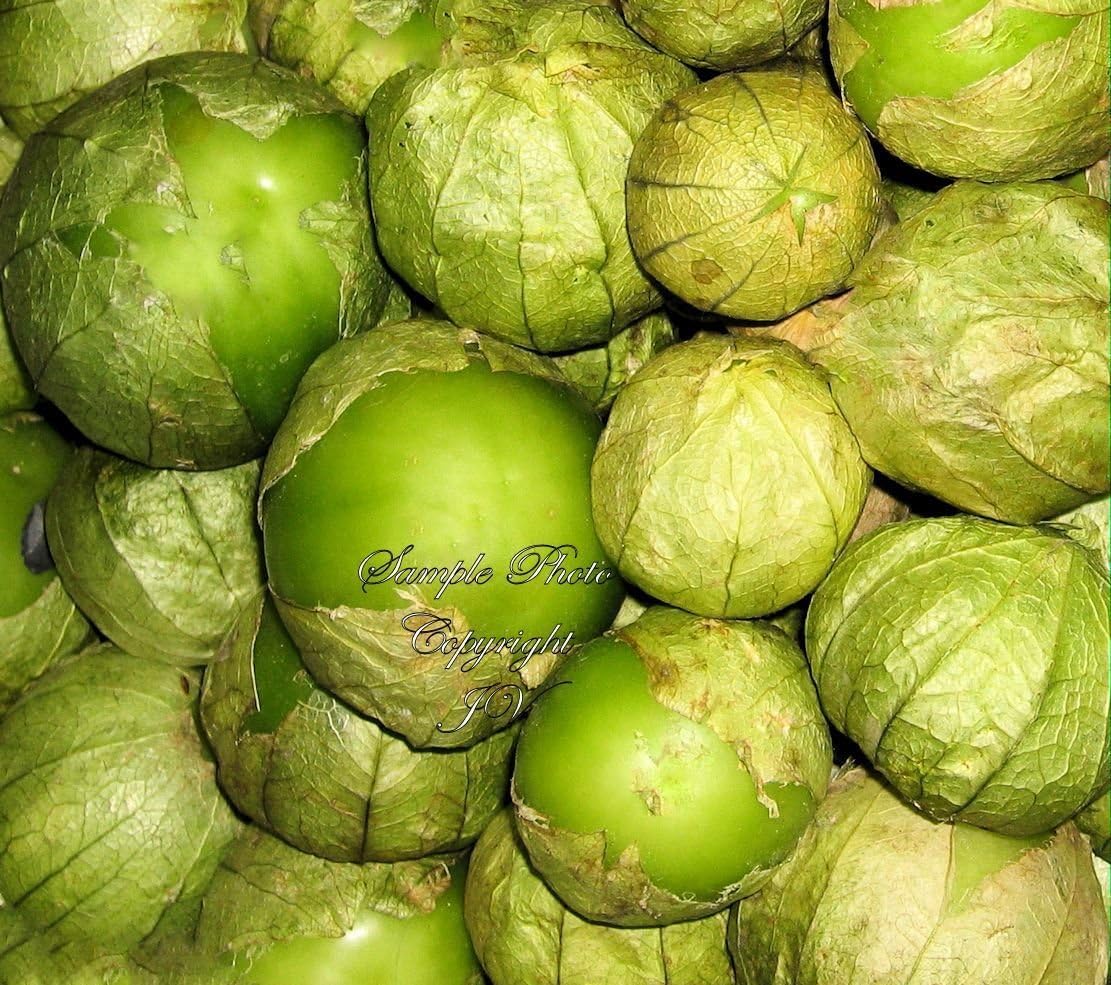 Physalis ixocarpa Tomatillo Verde 35 Seeds Non GMO Juicy