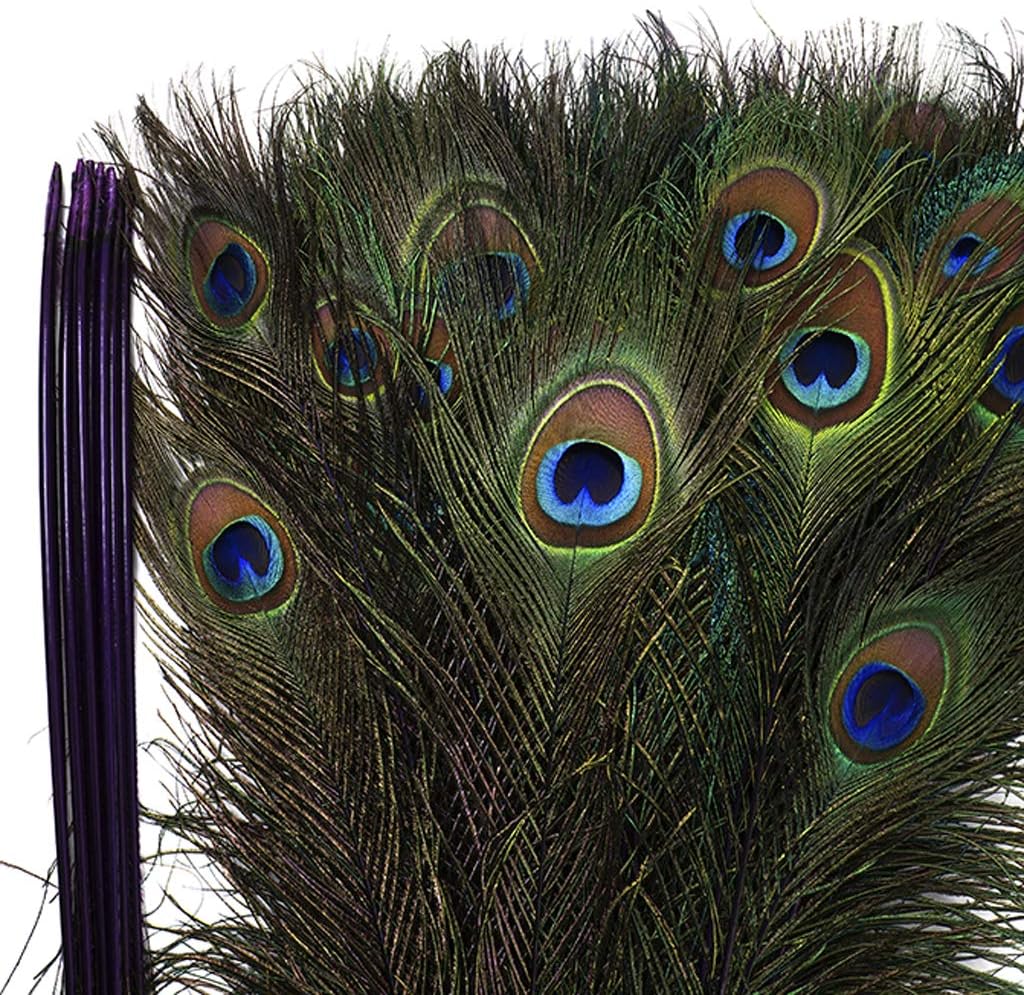 ZUCKER Feathers - Peacock Tail Eyes Stem Dyed - 25-40" - in Your Choice of Colors