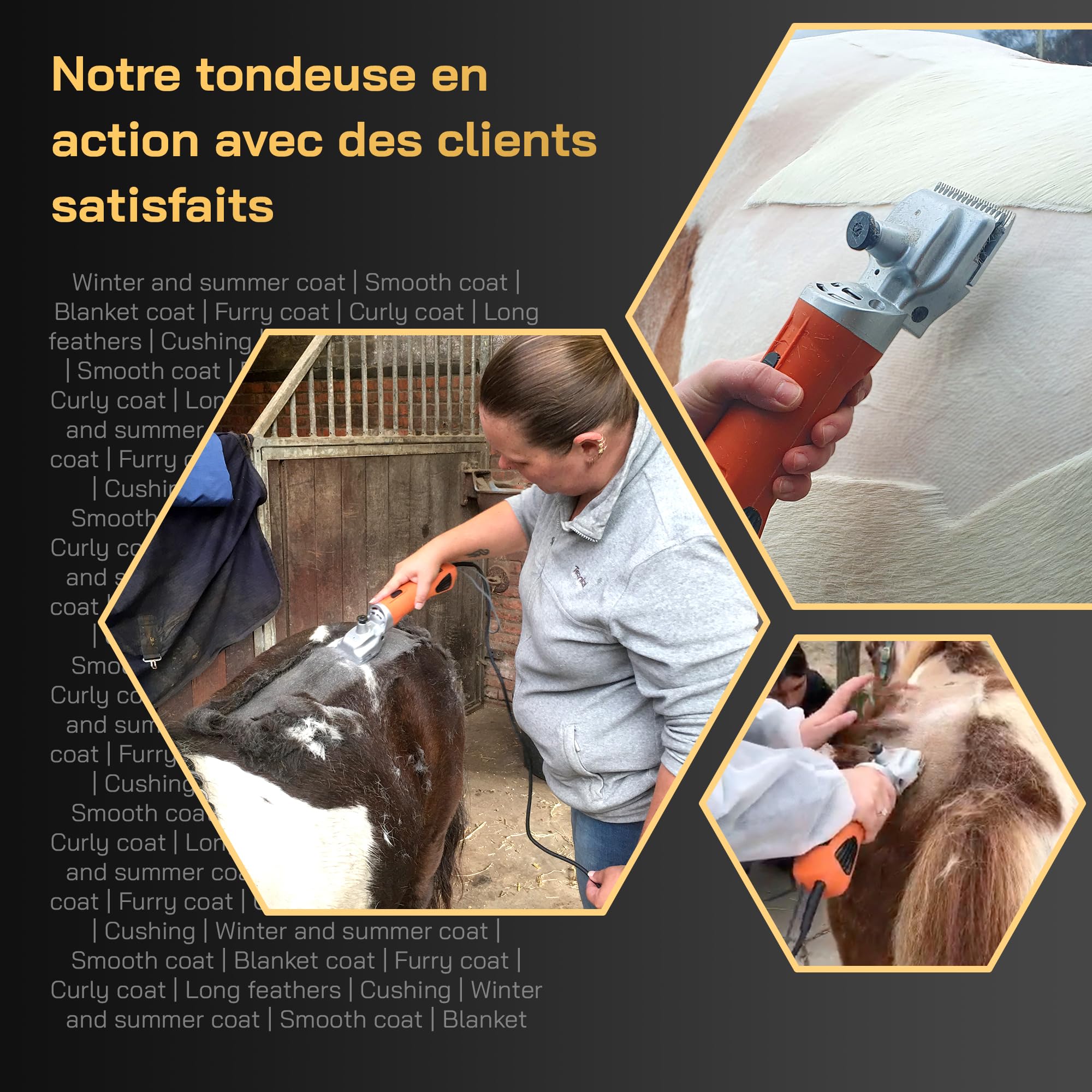 Tondeuse Cheval KNEIZER Kit Complet Lames Interchangeables Silencieuse Faible Vibration