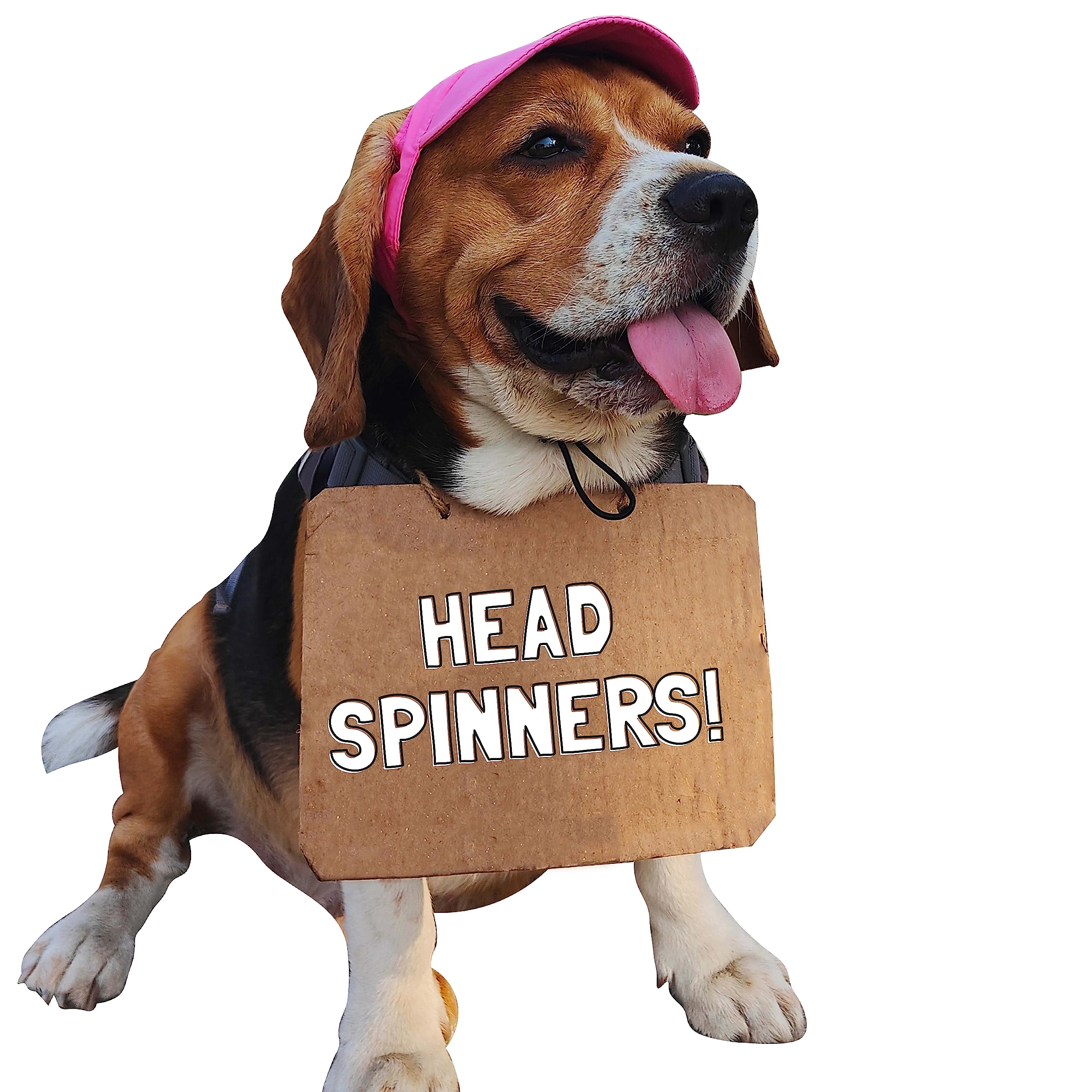 Baseball Cap with Neck Strap for Dogs by Go Bandanas (M, Pink) (B0C42Q882R) Amazon Price History, Amazon Price Tracker
