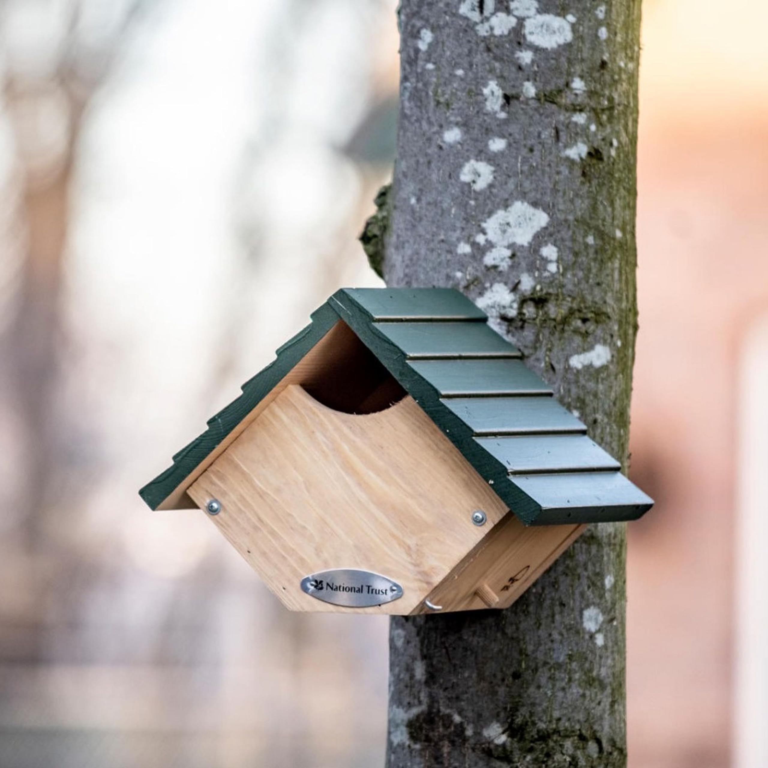 National Trust Robin Nesting Box – Robin Bird Box, Birdhouse – Chalet Style, Weather-Smart Wood FSC® 100% – Garden Nest
