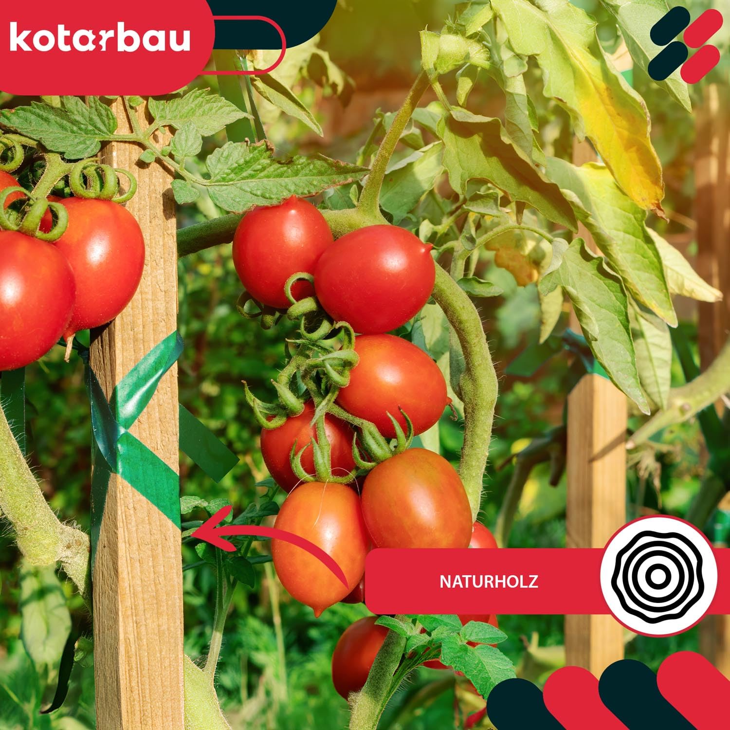 KOTARBAU® 10 Unidades Tutores para Plantas - Palos de Madera - 40 cm - Madera de Haya - Natural - Postes para Vallas - Estacas para Jardín - Tutor Plantas - Estacas para Huerto