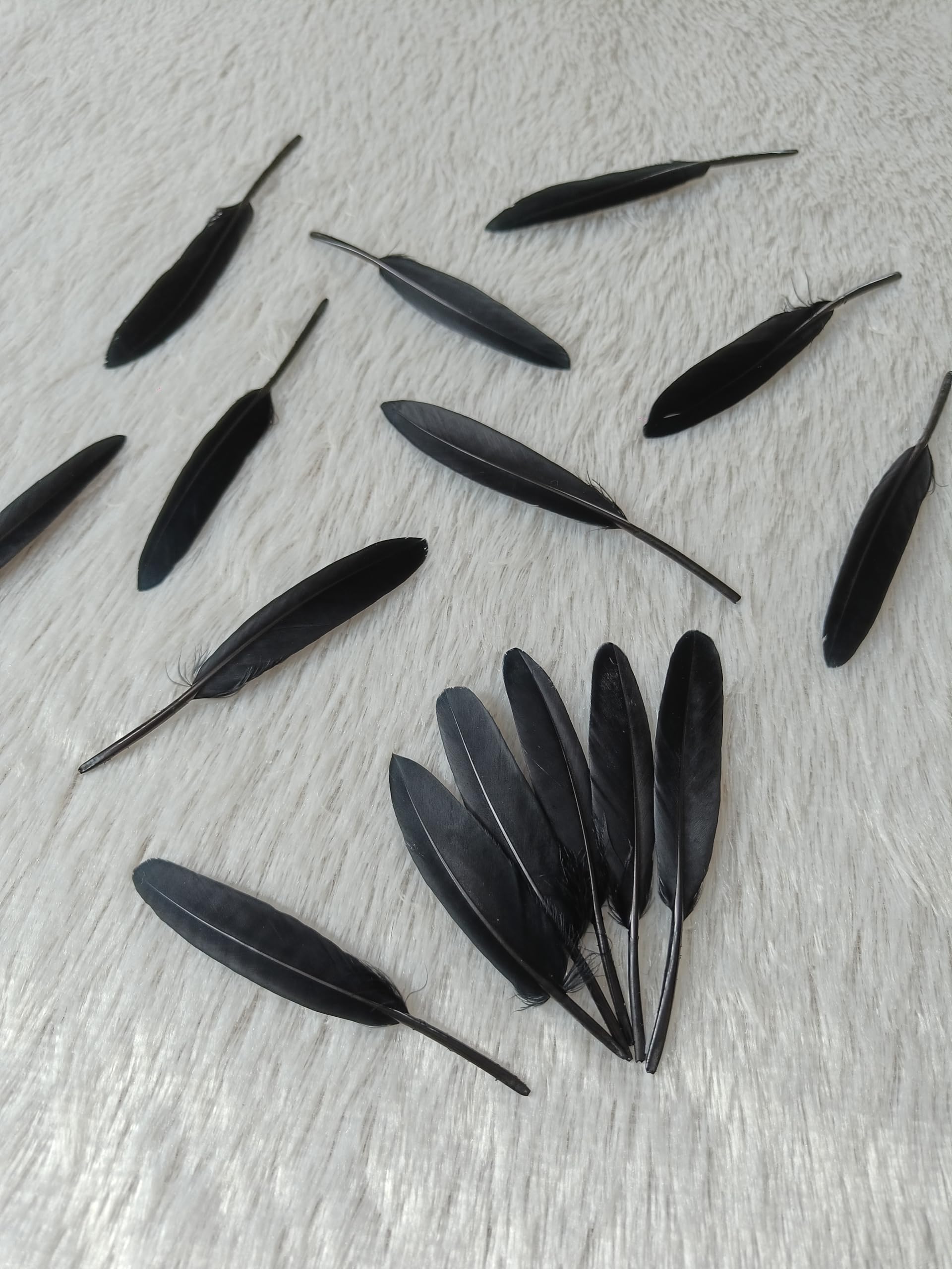 Premium Goose Feathers for Crafts (10 Pcs, 4–5 Inch) | Bright Decorative Feathers for DIY Projects, Dreamcatcher Making, Art & Craft Decoration | Vibrant Craft Feathers (Black) 4