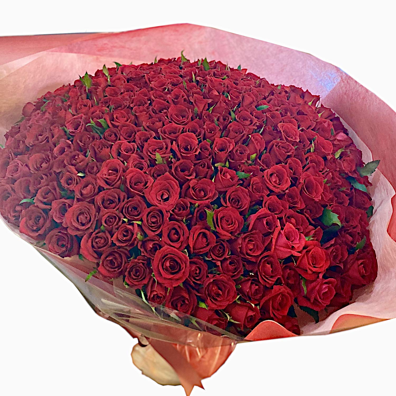 Amazon｜BisesFlower(ビズフラワー) バラ 花束 300本 赤 レッド