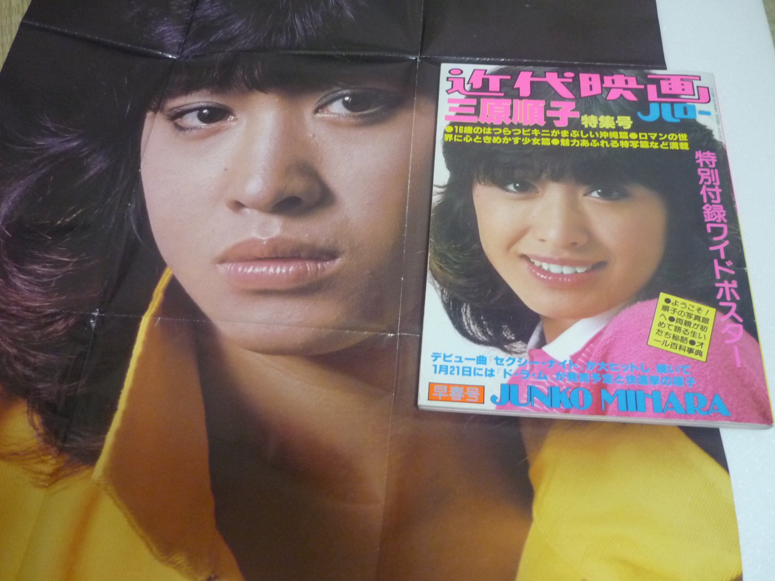 近代映画 三原順子写真集 昭和レア