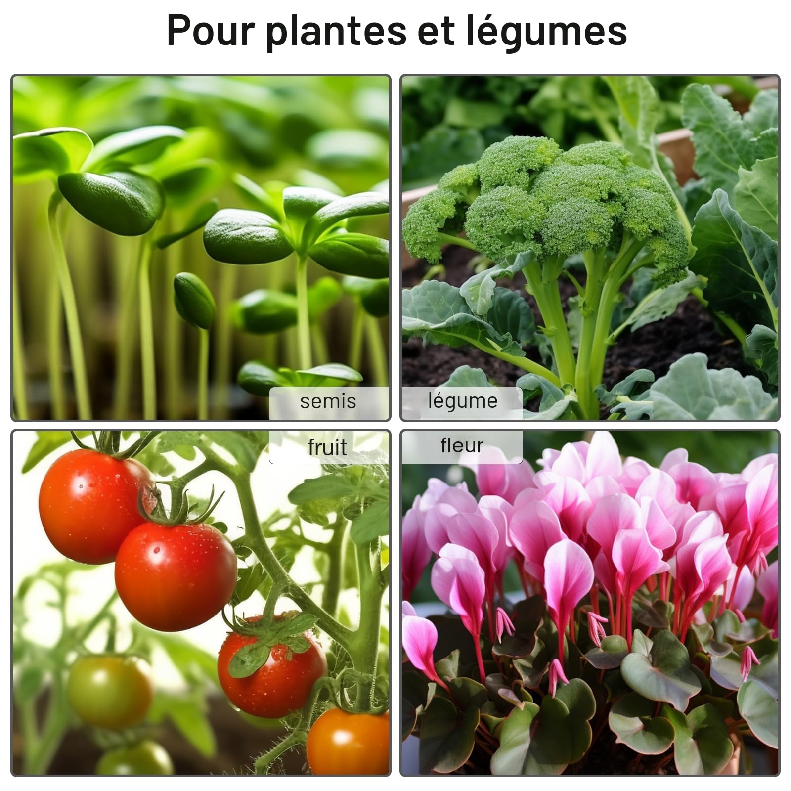 Mojimdo Tapis Chauffant pour Plantes avec Thermostat pour semis, Animaux domestiques et Reptiles,Tapis Chauffant de 50 W pour la Germination et la régulation de la température, sûr et Durable