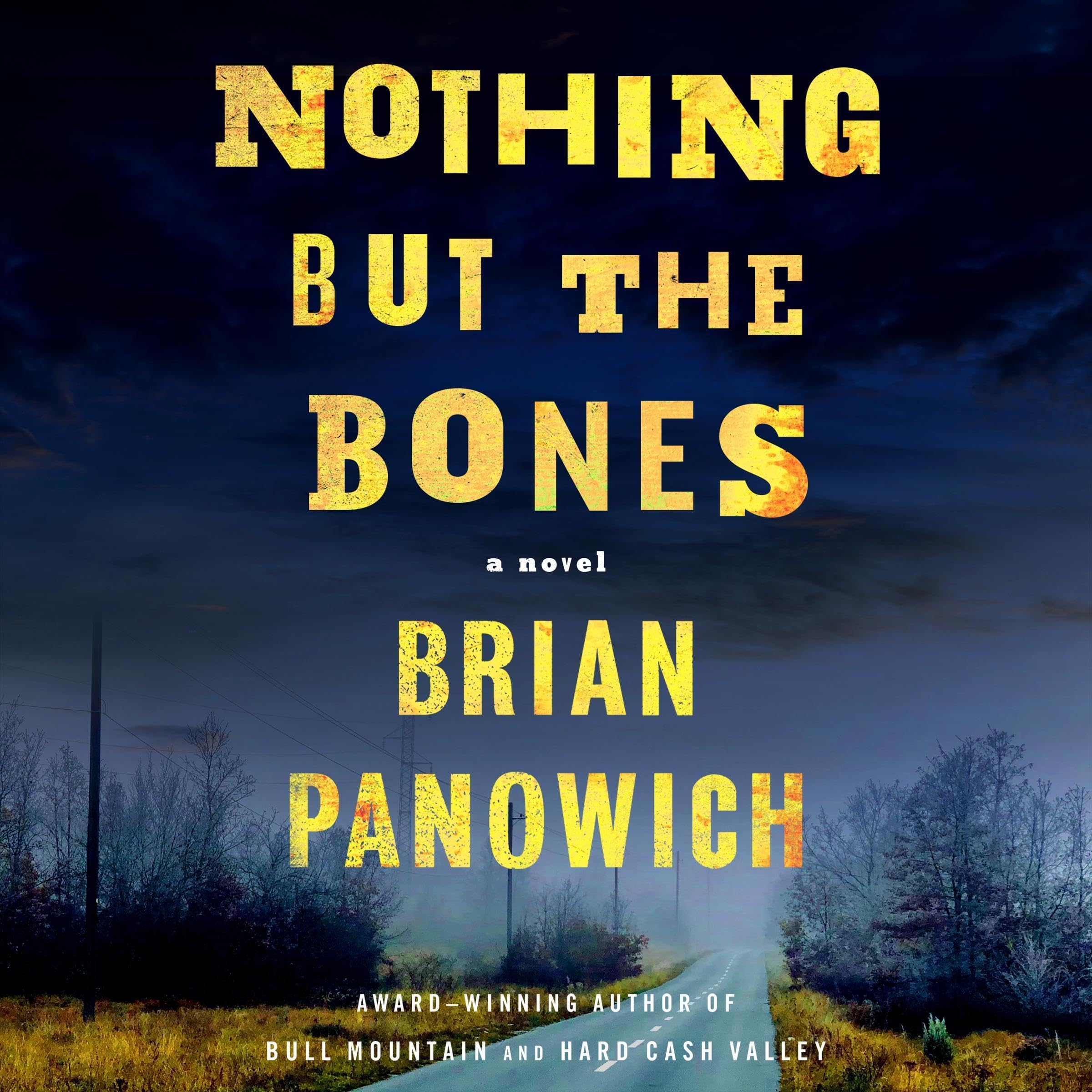 Cover art for Nothing but the Bones