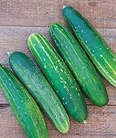 Burpee Straight Eight Heirloom Cucumber Seeds - 200 Non-GMO Slicing Cucumbers, AAS Winner, Crisp Flavor for Home Gardens