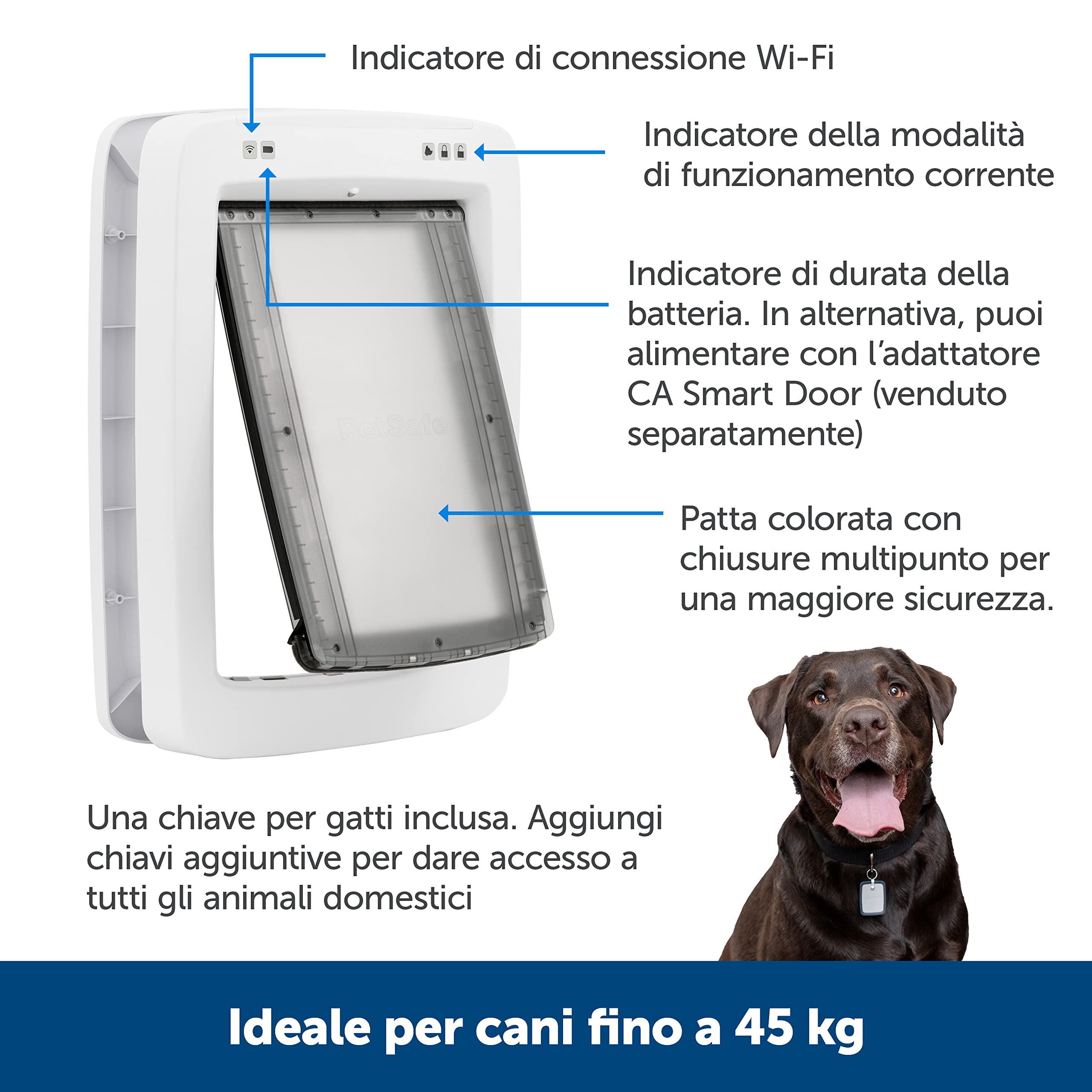 Porta Per Gatti Intelligente Focket Con 2 Sensori Da Collare – Apertura Automatica, Si Monta Su Porta E Muro, In Plastica Facile Da Pulire, Per Gatti E Cani Piccoli