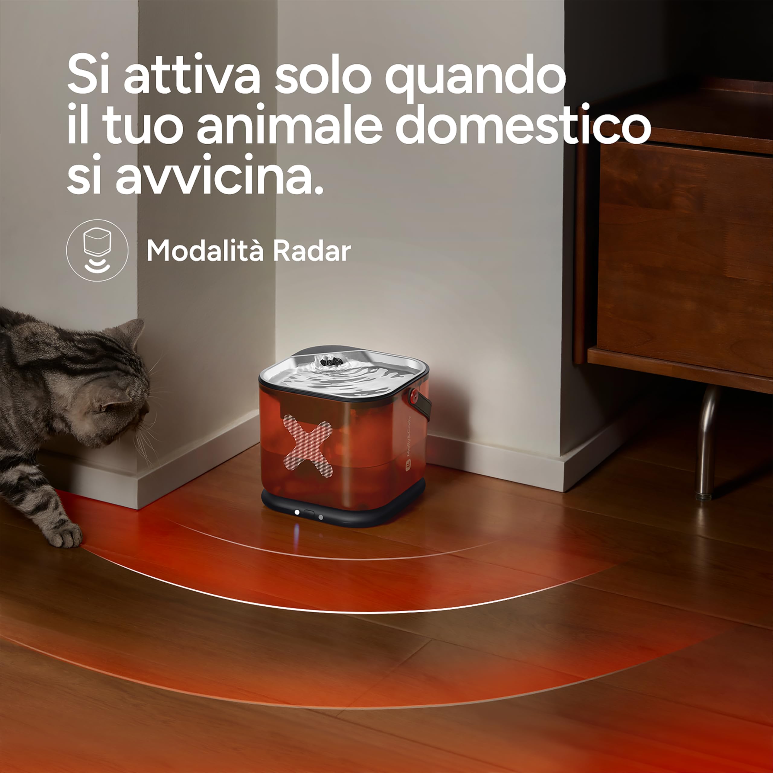 Molly&Cody Fontana d'acqua per gatti, fontana automatica senza fili per animali domestici, dispenser d'acqua in acciaio inox da 3 litri con base staccabile, funzionamento a batteria, silenziosa per