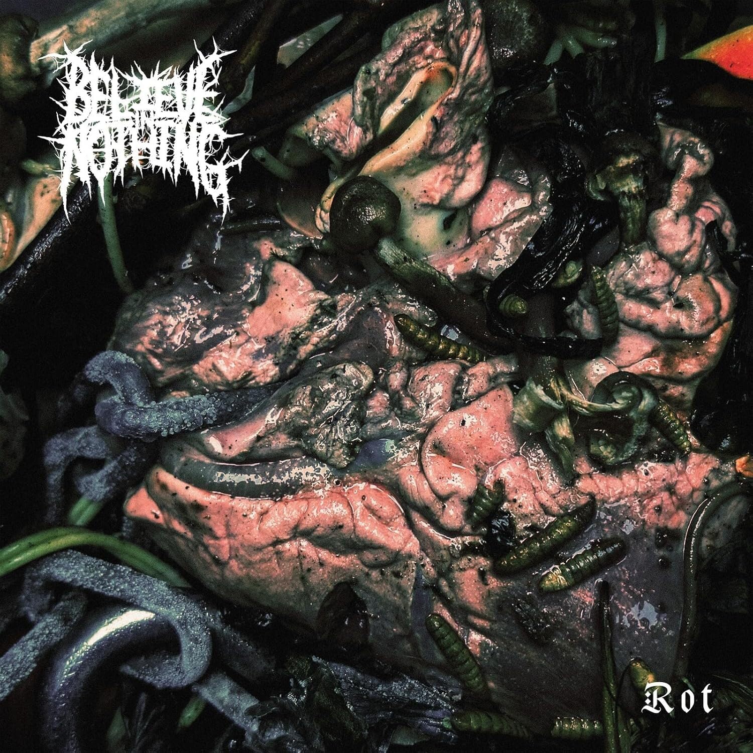 Rot [VINYL]
