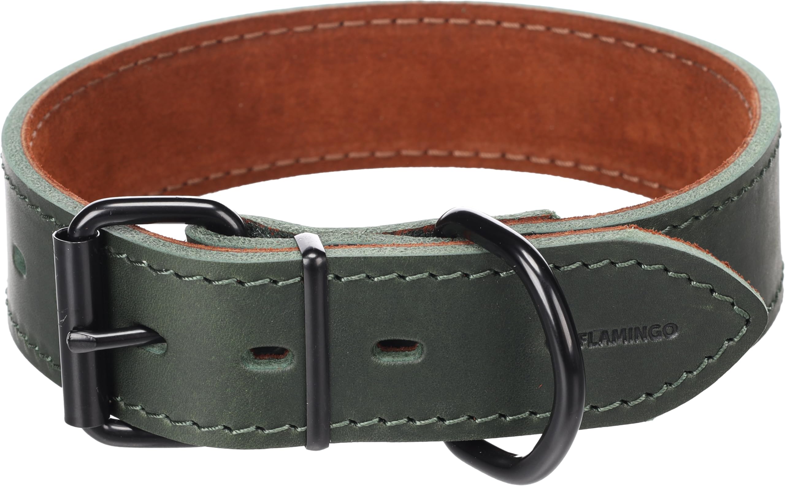 Collier Montana Vert L 40mm en nylon renforcé avec bouclerie haute résistance
