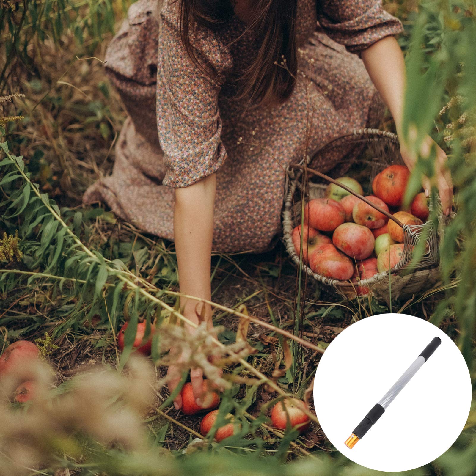 Cabilock Nut nut gatherer Gatherer Rolling Nut Harvester Ball Picker Adjustable Outdoor Manual Picker Collector Tools with stick for nut Harvester Garden