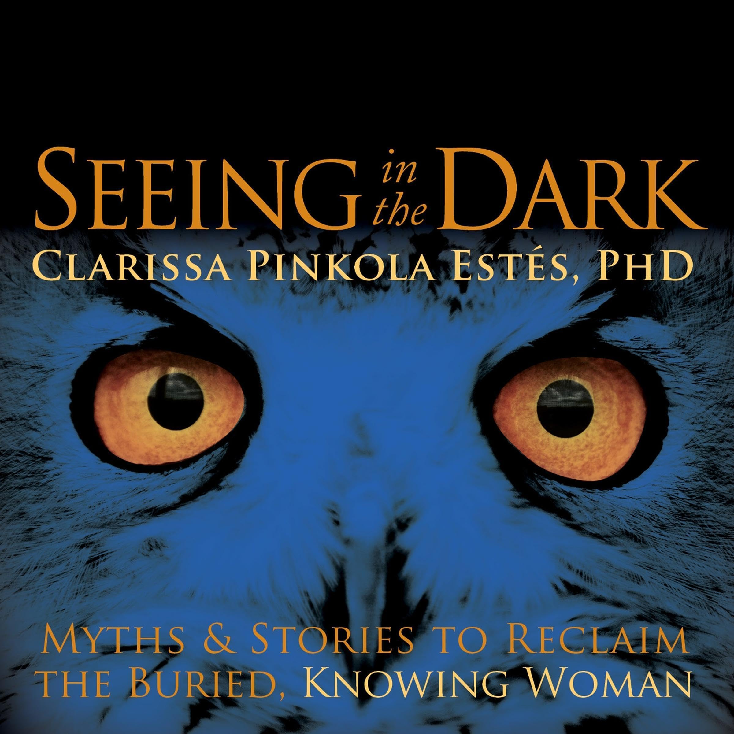 Cover art for Seeing in the Dark