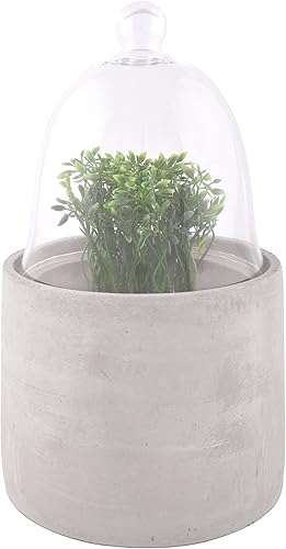 Esschert Design AGG38 Cloche con base de hormigón, mediano