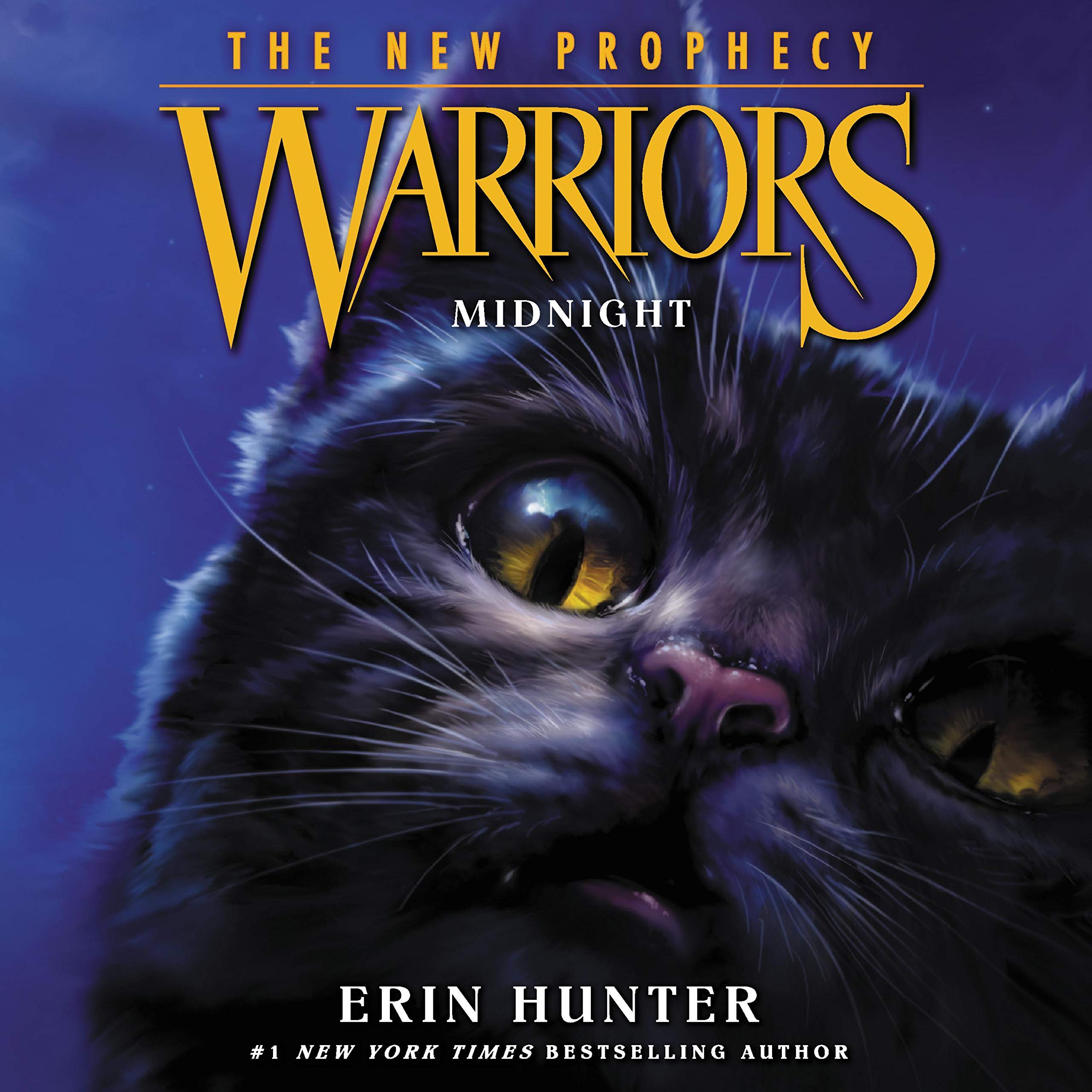 Midnight: Warriors: The New Prophecy, Book 1