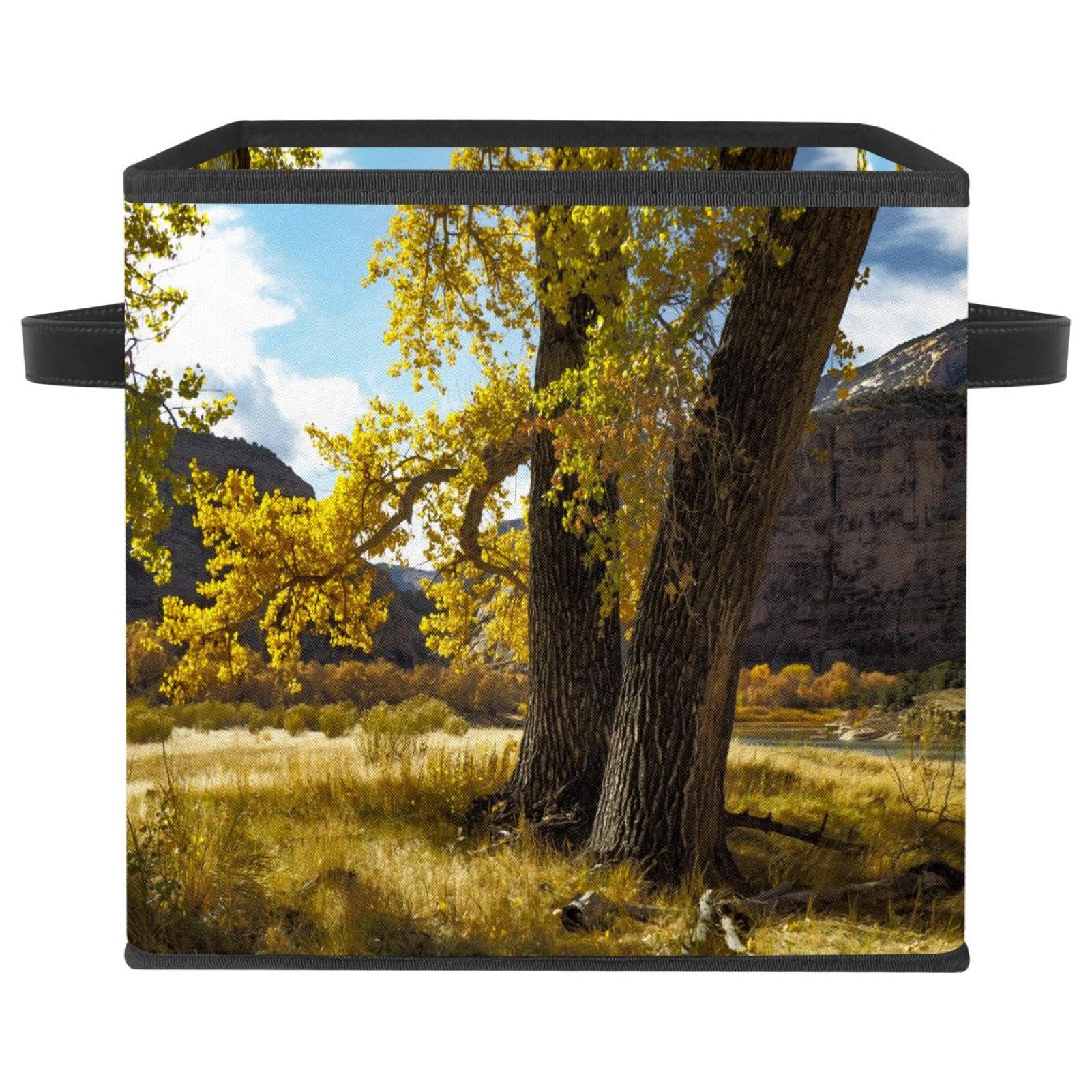 Boîte de rangement pliable pour livres et vêtements avec poignées intégrées