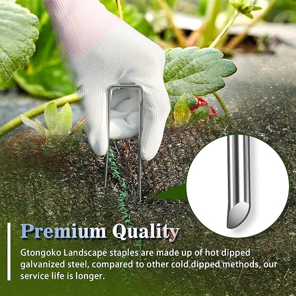 Gtongoko Gtongoko 50 Pack 4 Inch Galvanized Landscape Staples Garden Stakes Plant Cover Stakes 11 Gauge Tent Stakes Ground Stake for Landscaping Securing Weed Barrier Fabric, Christmas Decorations 4 Inch 50 in use