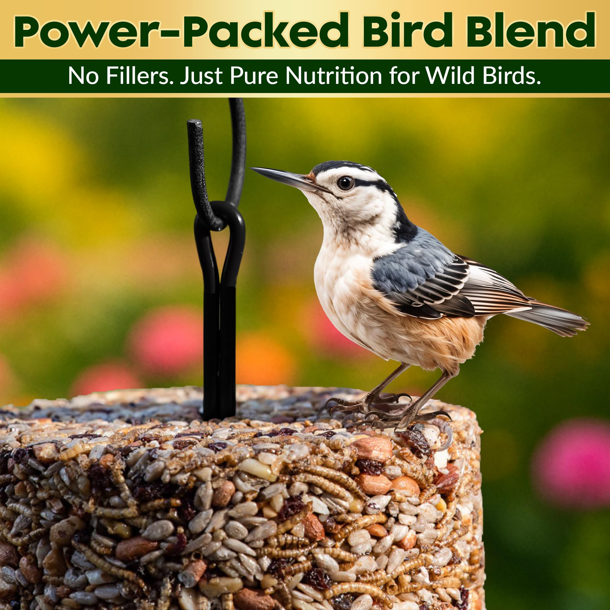 Cilindro de semillas de pájaros con agujero, frutos secos y bayas, alimento para pájaros carpinteros, Blue Jays, trepadores y más, mezcla natural rica en proteínas de alta calidad, sin rellenos