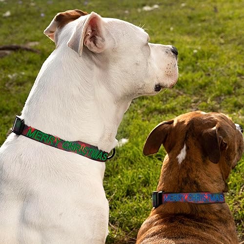 Vista 121 de Pawtitas Collar personalizado para perro, collar de perro pequeño, bordado con nombre, número de teléfono, collar de cachorro, collar ajustable