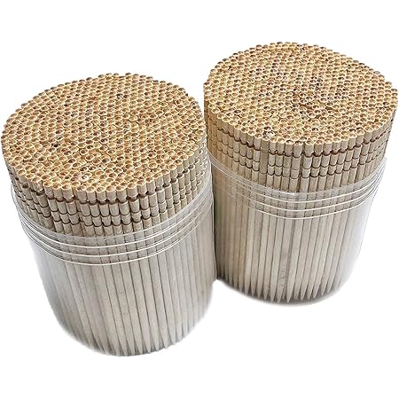 Makerstep 1000 Wooden Toothpicks Ornate Handle in Toothpicks Holder Container 2 Packs of 500, Good for Craft, Party, Cocktail Picks, Cleaning Teeth, Appetizer.