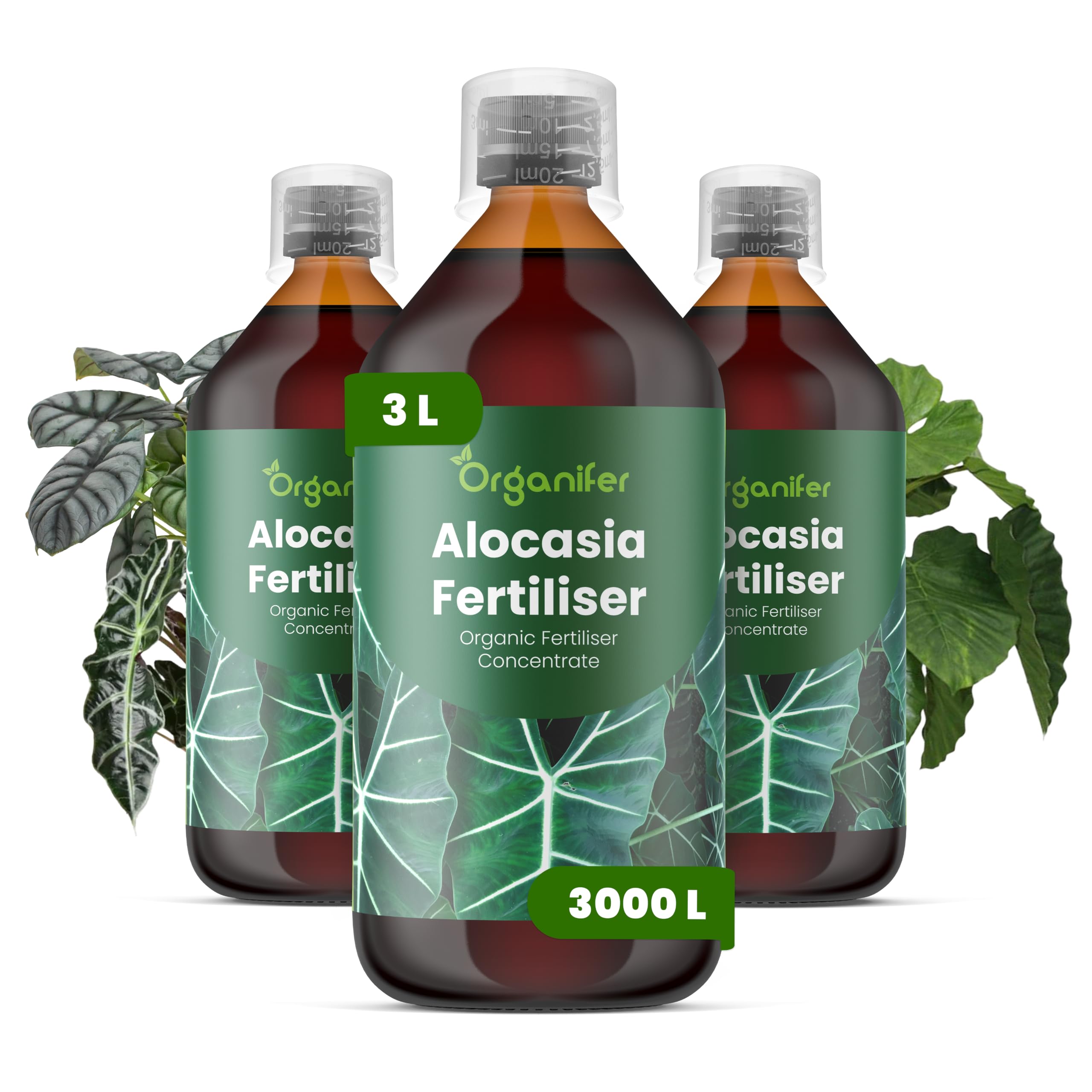 Alocasia Płynny Nawóz - 3x1L - NPK 2-1-8 | Nawóz Płynny Do Bujnych Liści I Mocnych Łodyg - Wspomaga Rozwój Korzeni I Witalność - Organifer