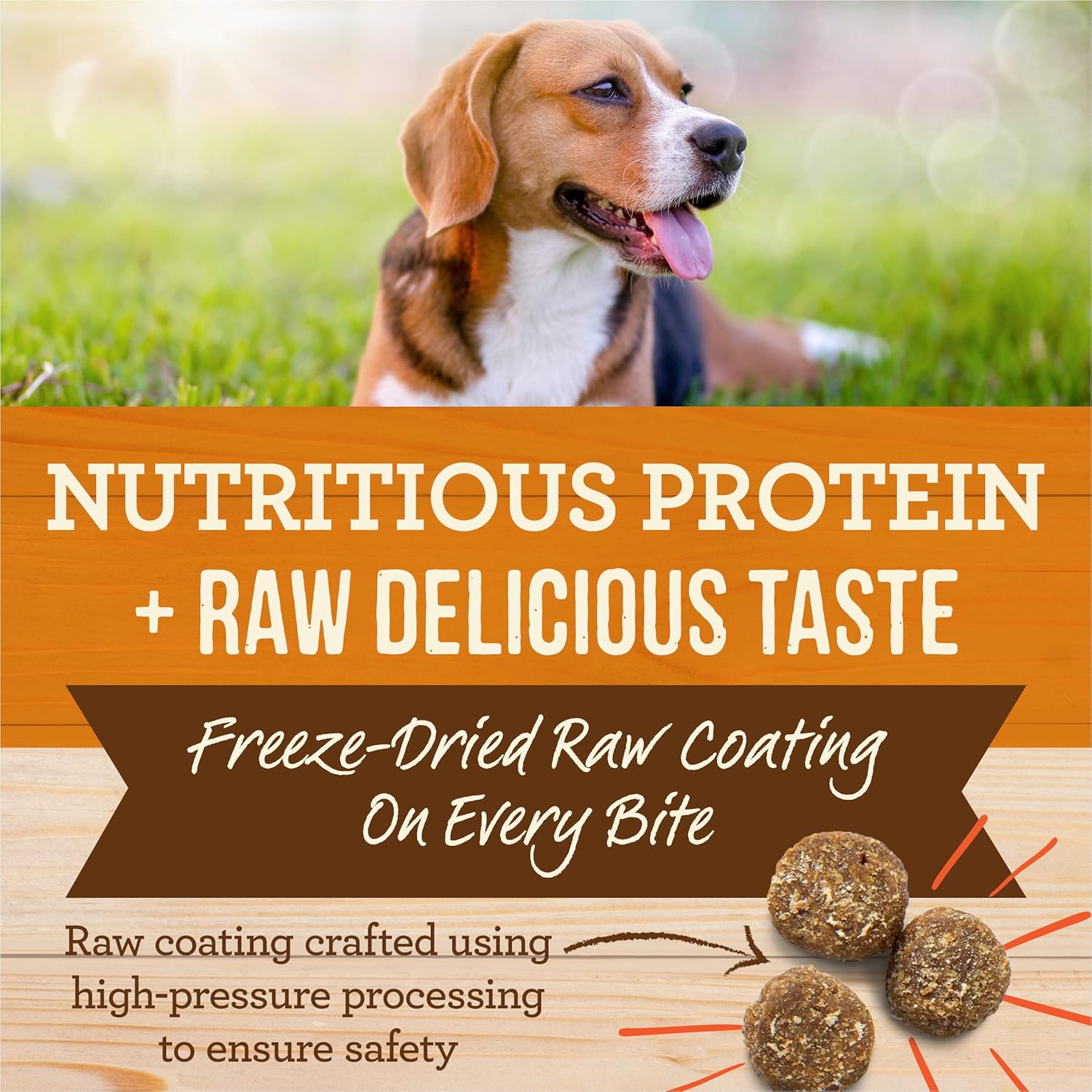 Merrick Healthy Grains Freeze Dried Raw Coated Kibble Dry Dog Food Real