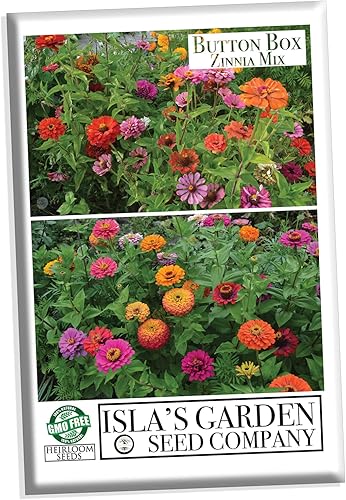 Miniatura 2 de Semillas de zinnia "Button Box Mix" para plantar, más de 100 semillas de flores por paquete, semillas de jardín de Isla (semillas de jardín de