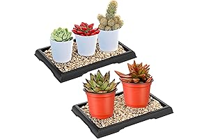 Bonsai Humidity Tray, 2-Pack Pinkunn Indoor Plant Water Catcher for Humidity