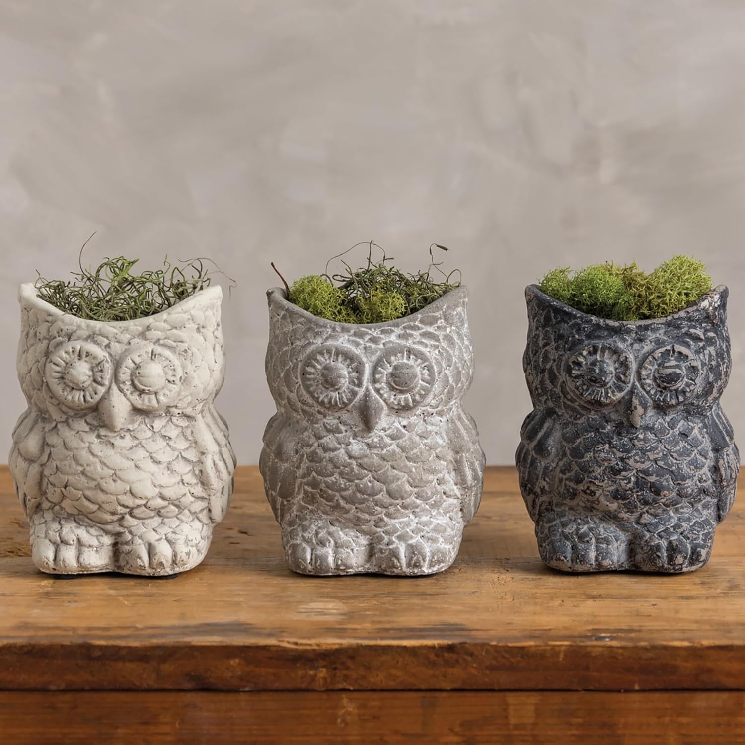 Primitives by Kathy Set of Three Cement Owl Planter Set