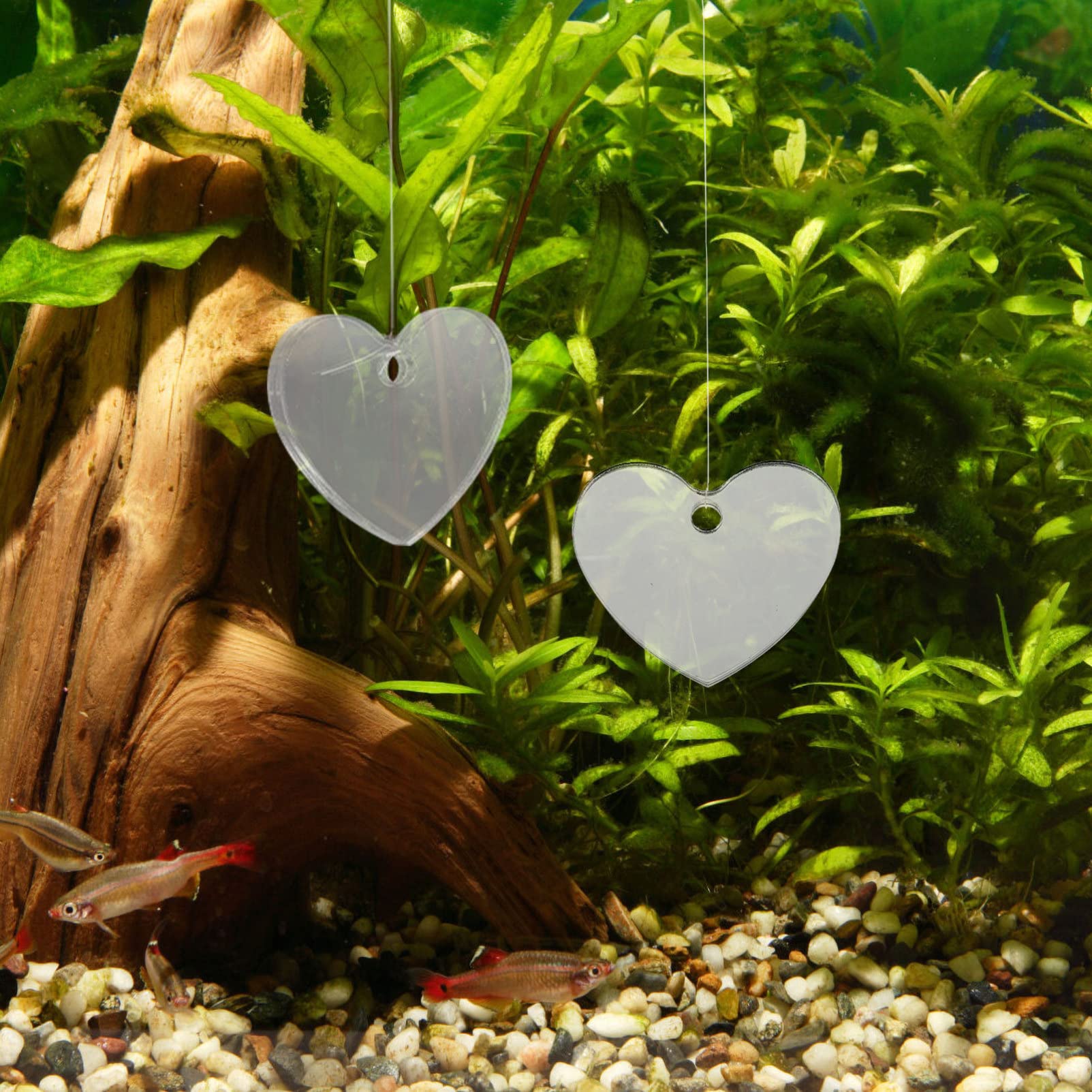 Aquarium écologique Betta Avec Pompe à Air - Petit Aquarium De Bureau Pour Poissons Betta, Poissons Rouges, Tortues, Décorations De Table