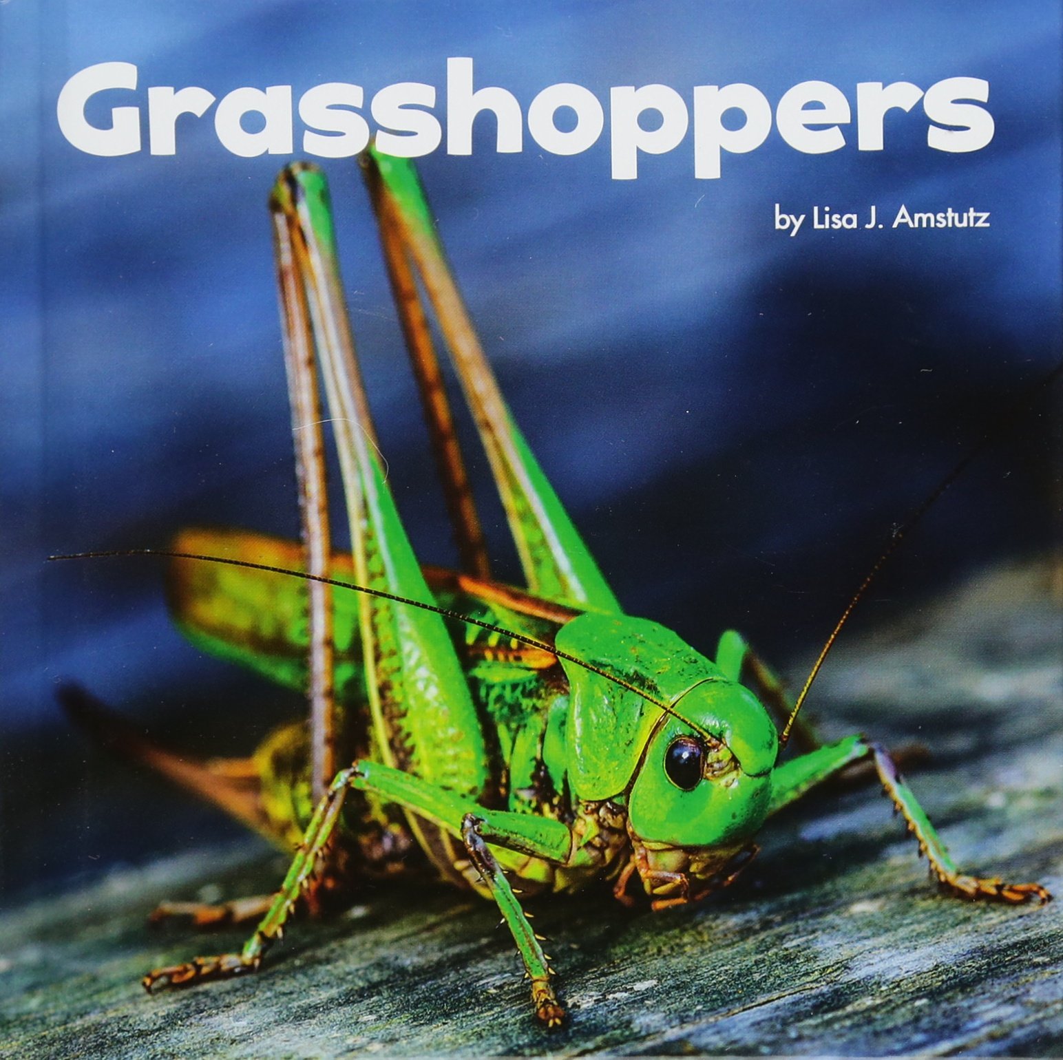 Grasshoppers (Little Critters)