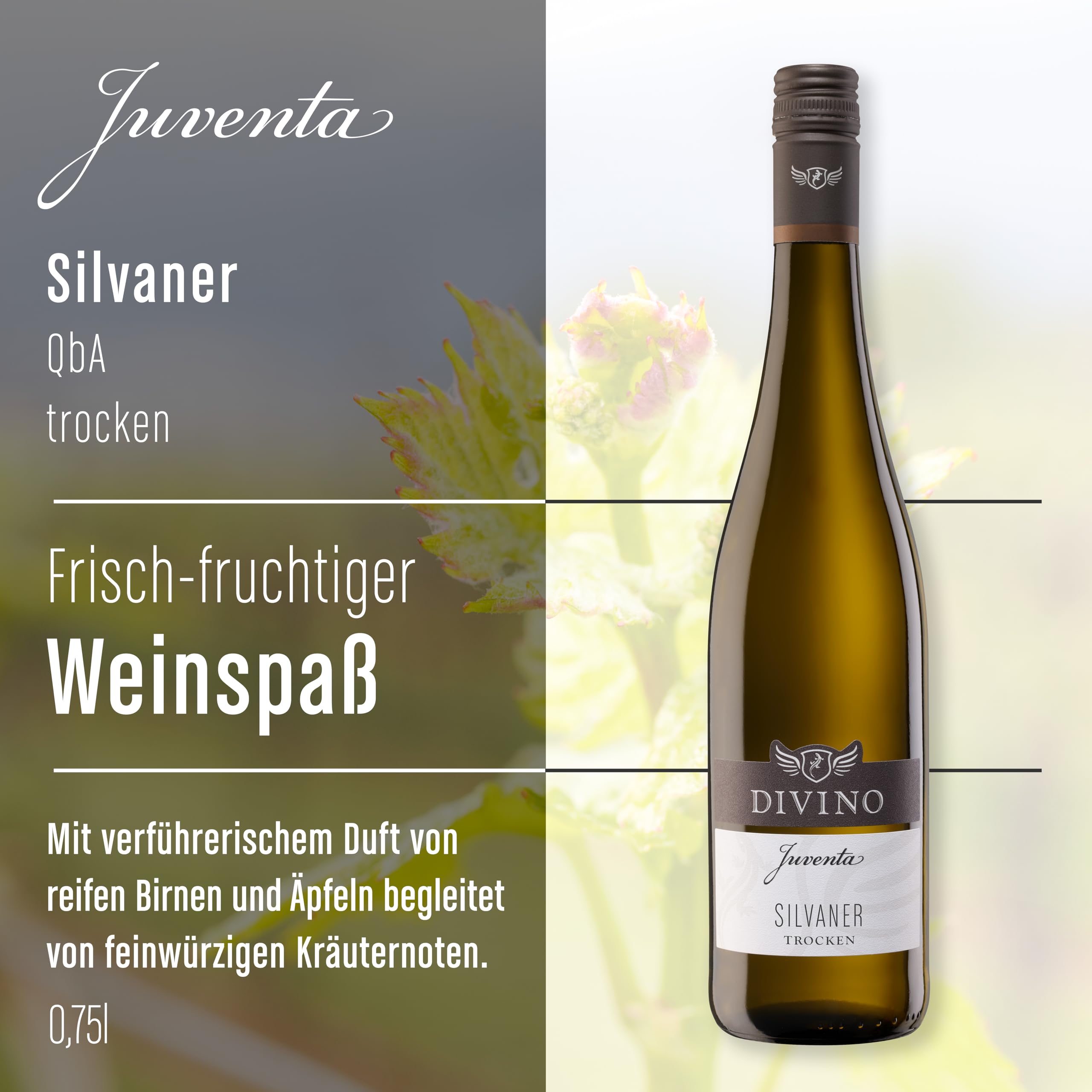 DIVINO JUVENTA Weißwein Silvaner trocken (0,75 l) - Frankens Feine Weine