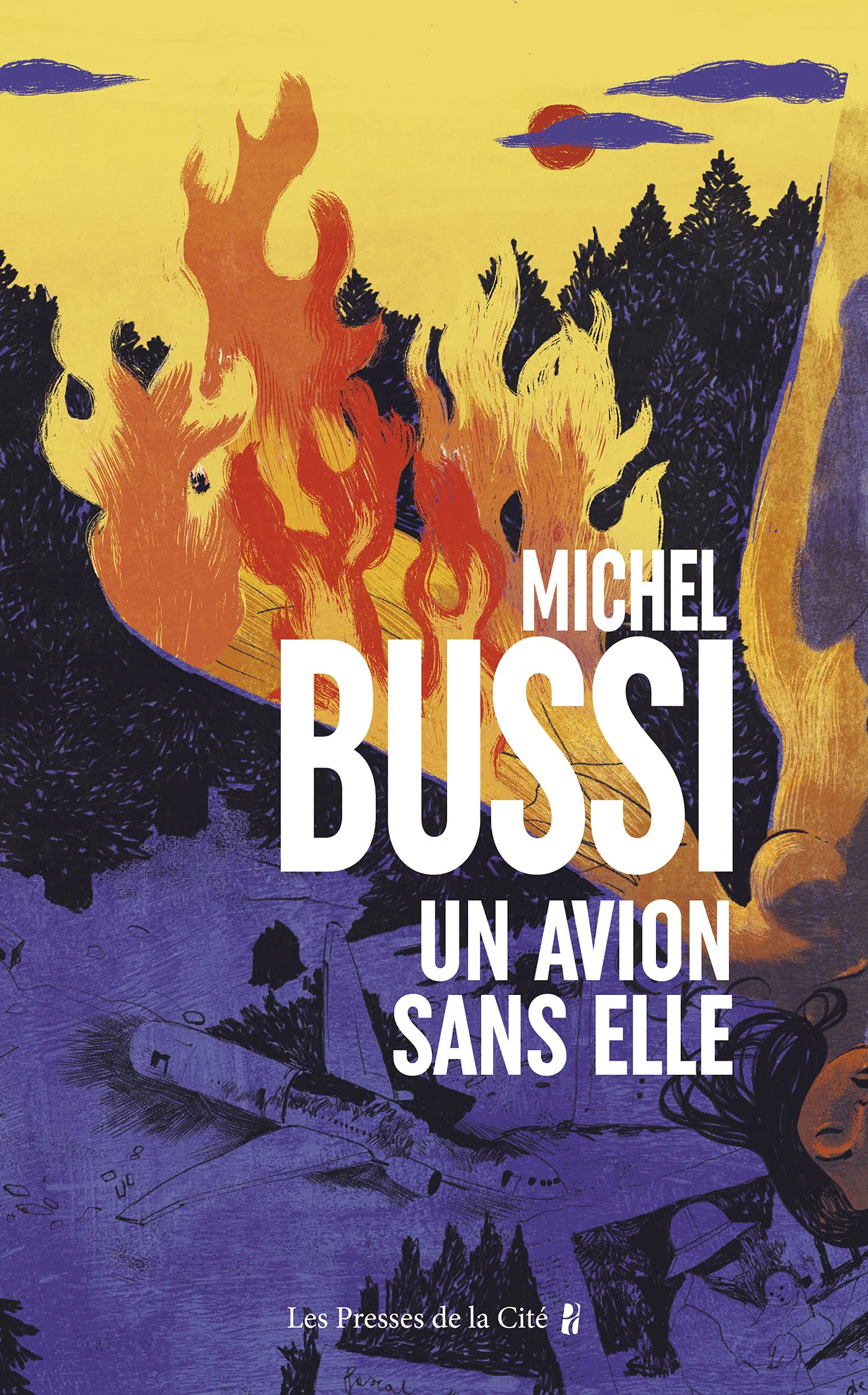 Un avion sans elle (Terres de France) (French Edition)