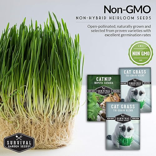 Miniatura 5 de Survival Garden Seeds Cat Collection Seed Vault - Semillas de reliquia sin OMG para plantar, hierba gatera y 2 paquetes de hierba para gatos,