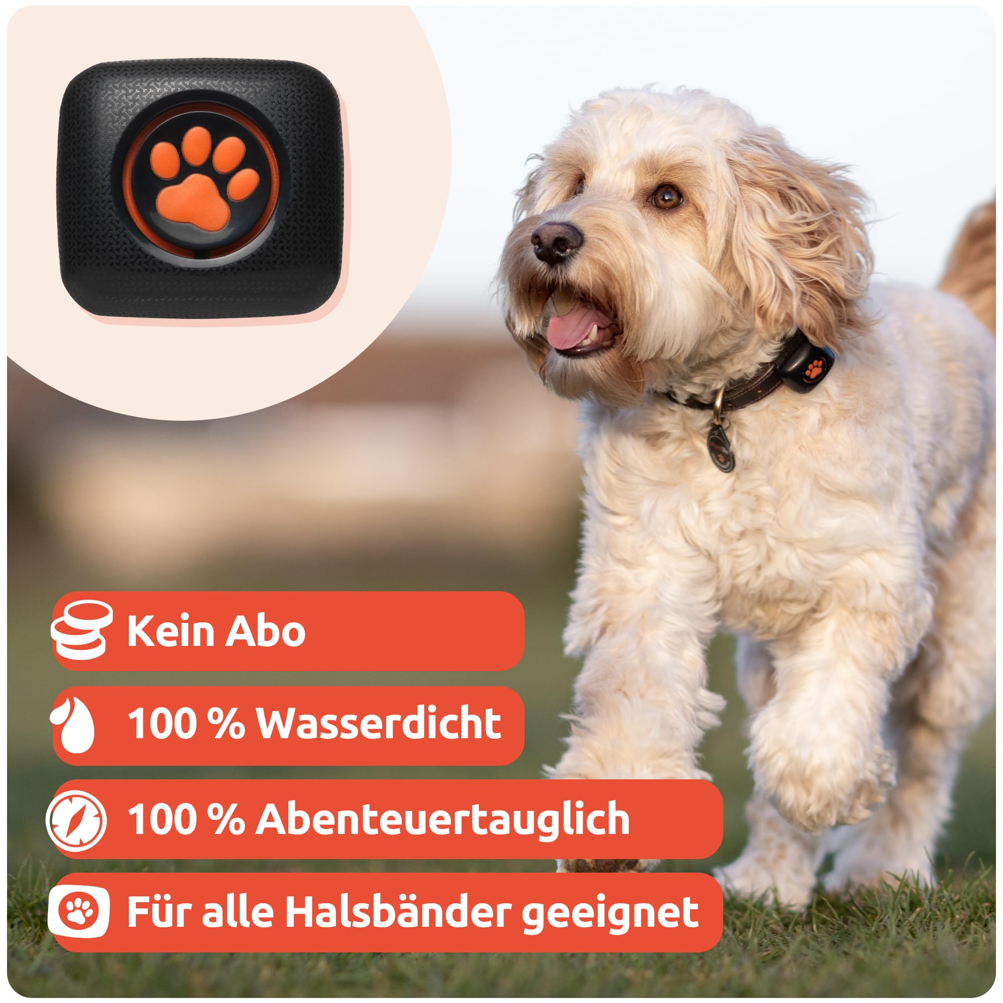 PitPat Aktivitäts & Fitness Tracker für Hunde (ohne GPS) – kein Aufladen oder Abo erforderlich – Geeignet für alle Hunde und Halsbänder – Intelligenter Haustier Aktivitätstracker – 100 % wasserdicht