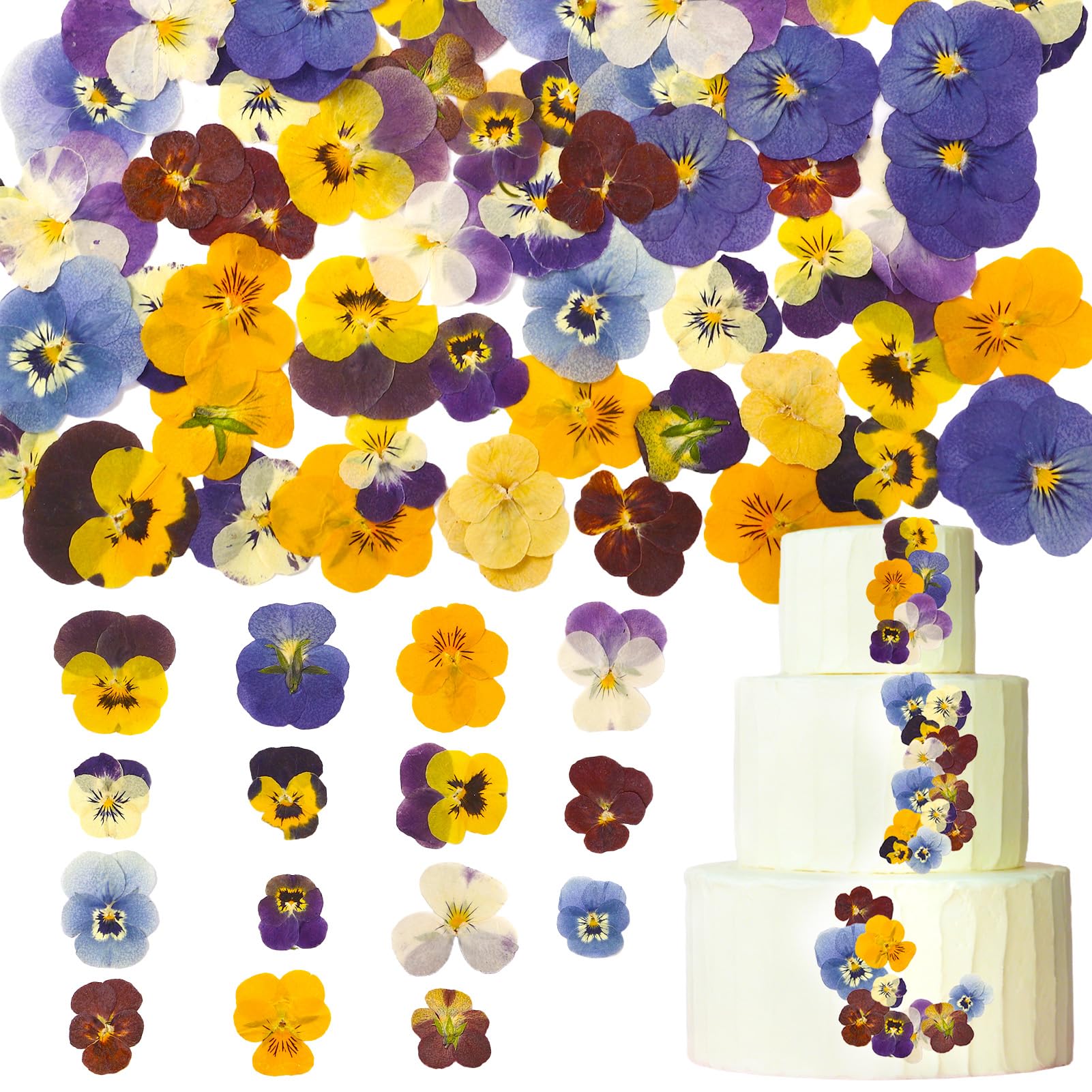 60Pcs 10 Types Naturally Dried Pressed Flowers for Cake Decorating, Mixed Tricolour Viola for Cupcake Toppers, Cocktails,DIY Crafts