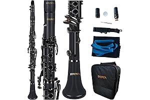 Exquisite Clarinete Profesional: Black Ebonite Body and Nickel-Plated Keys