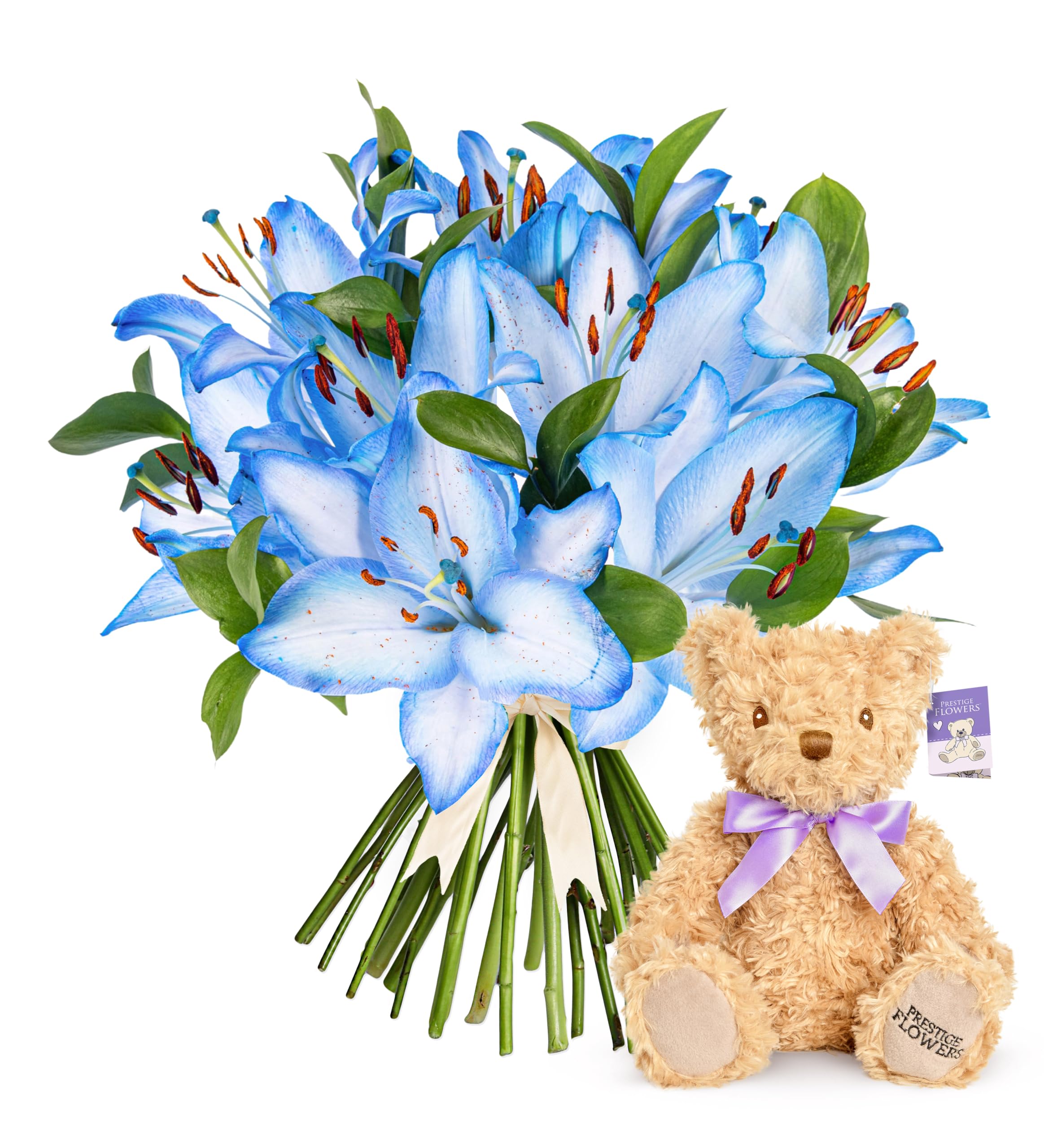 Ocean Lilies - Fresh Flowers - Birthday, Anniversary, Get Well, Thank You, Occasion Flower - Cut Floral Arrangement for Gifts (+ Teddy Bear)