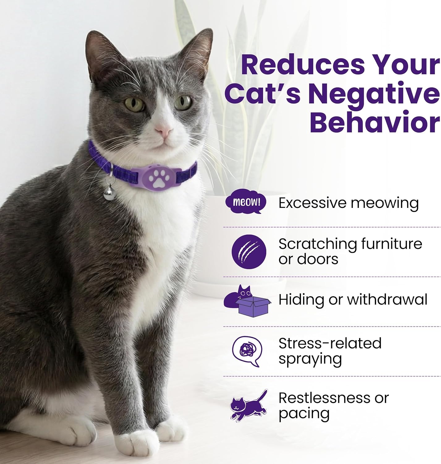 Breakaway Calming Collar Plus - Advanced Feline Pheromone System with Essential Oil Support for Cats – True Breakaway Safety Clasp, Reusable Design, Lasts Up to 60 Days – by Kitty Kompass