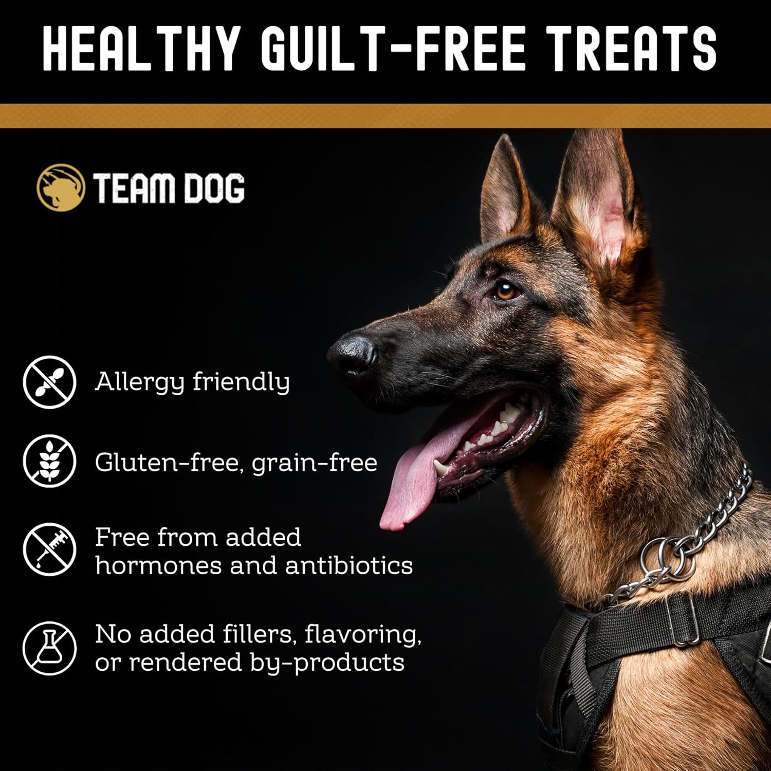 Team Dog Freeze-Dried Raw Beef Dog Treats | Dog Training Treats & Food Toppers for Picky Dogs | Made from Gluten Free, Grain Free 100% USA-Sourced Beef Lung, Liver & Heart | 14 oz Bulk Size Pack