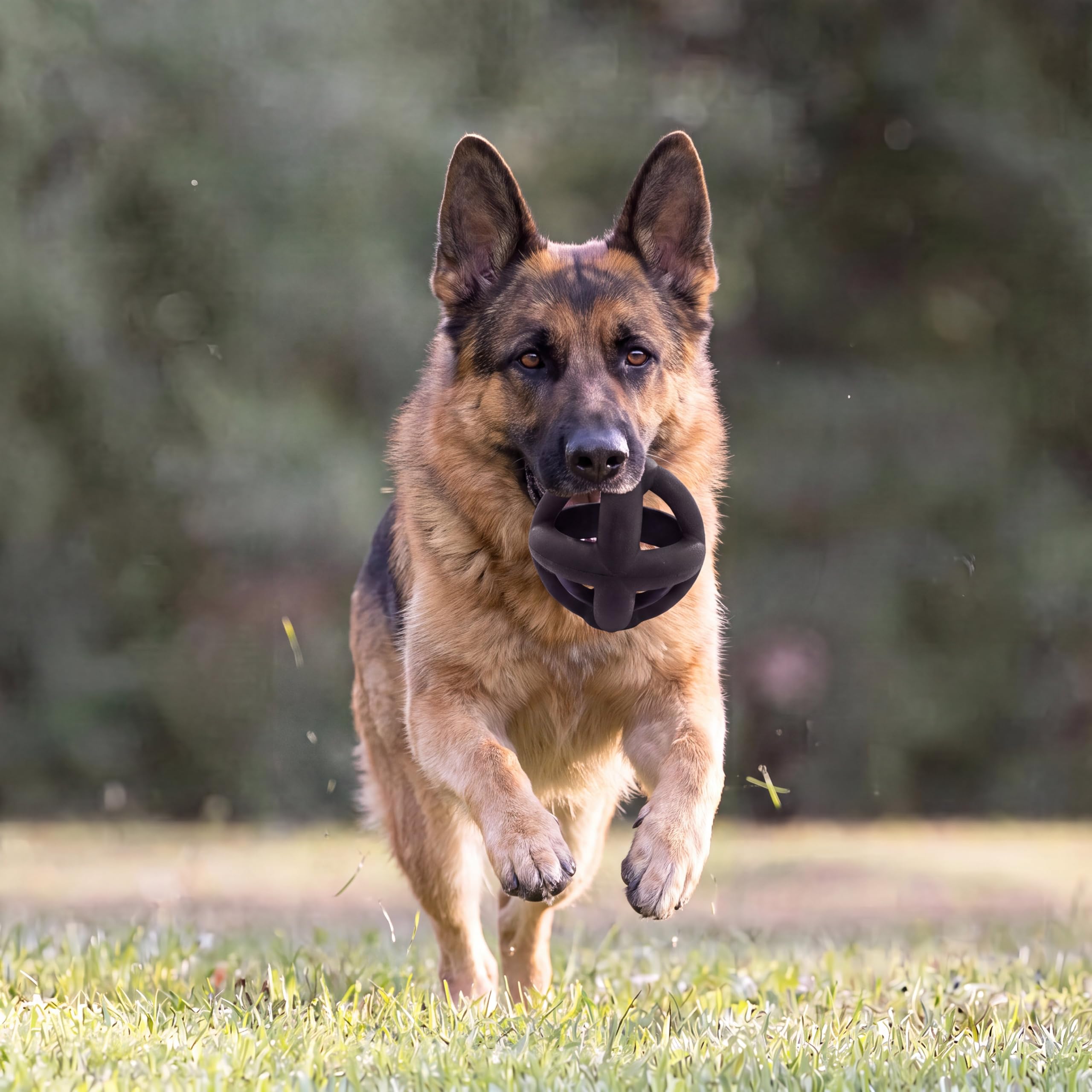 Balle en caoutchouc naturel à mâcher pour chien, jouet à mâcher robuste, pratiquement indestructible, durable, jouet pour animaux domestiques pour les races agressives
