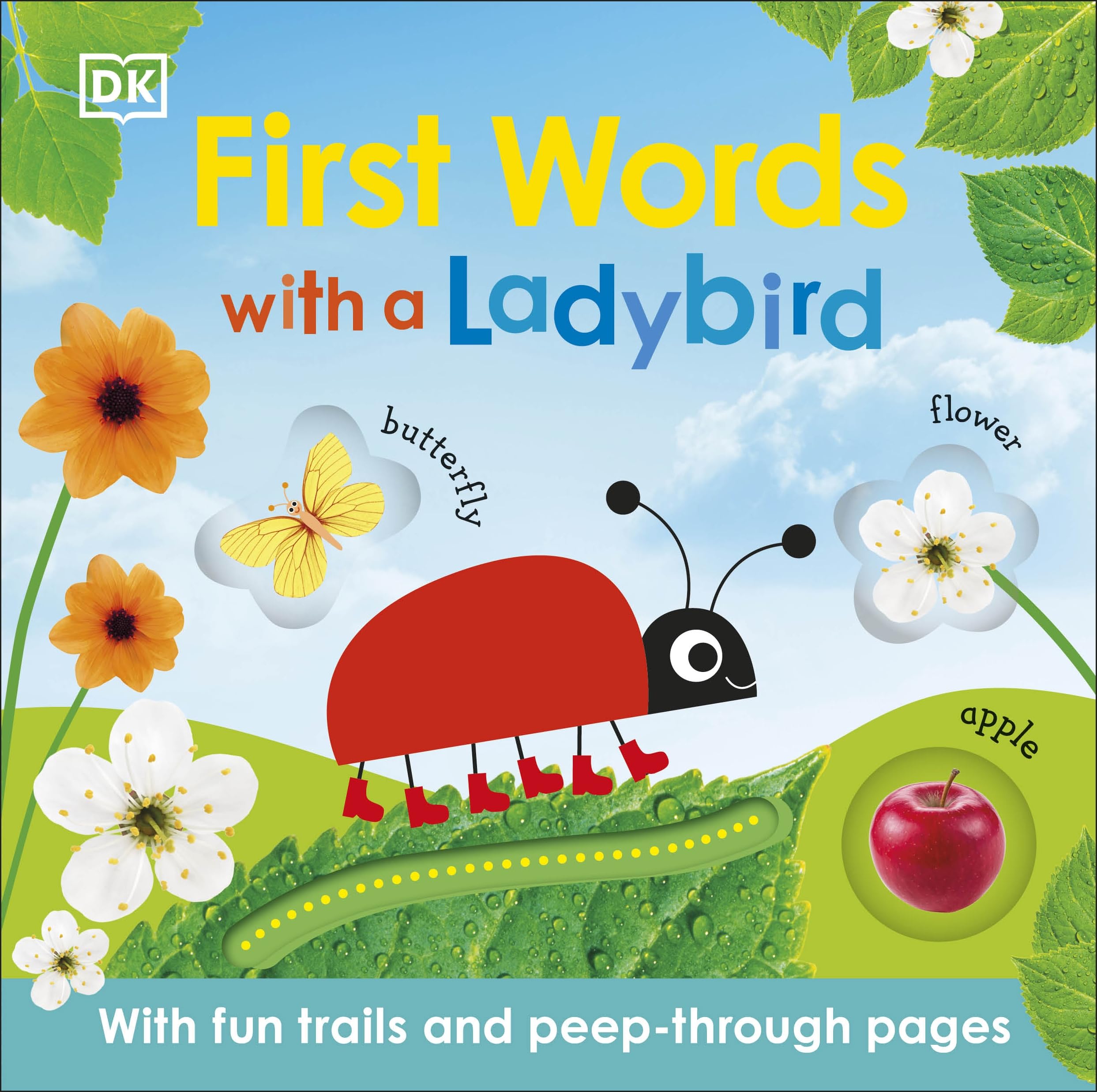 First Words with a Ladybird (Learn with a Ladybird)